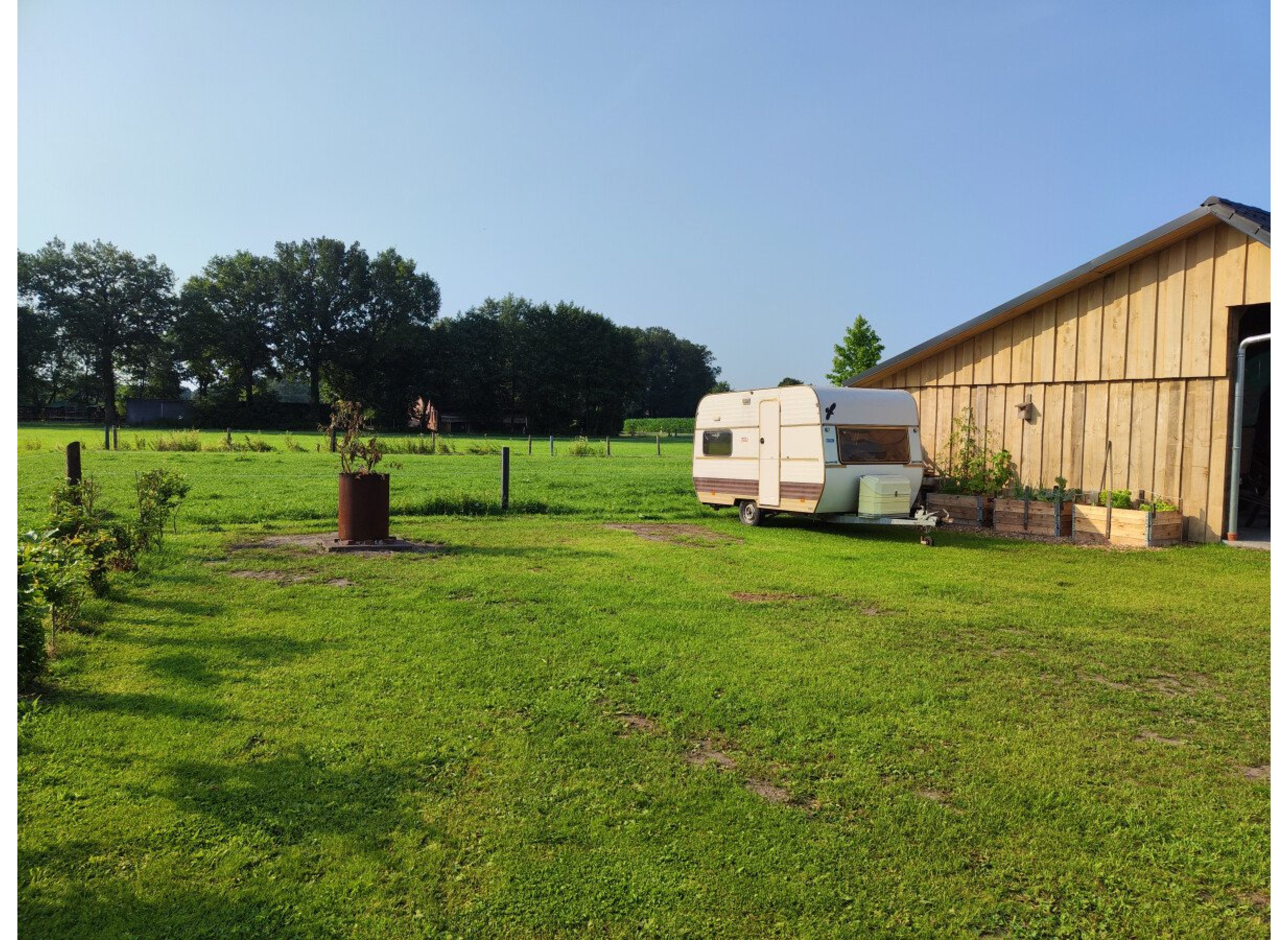 Mitten im Grünen-Hook