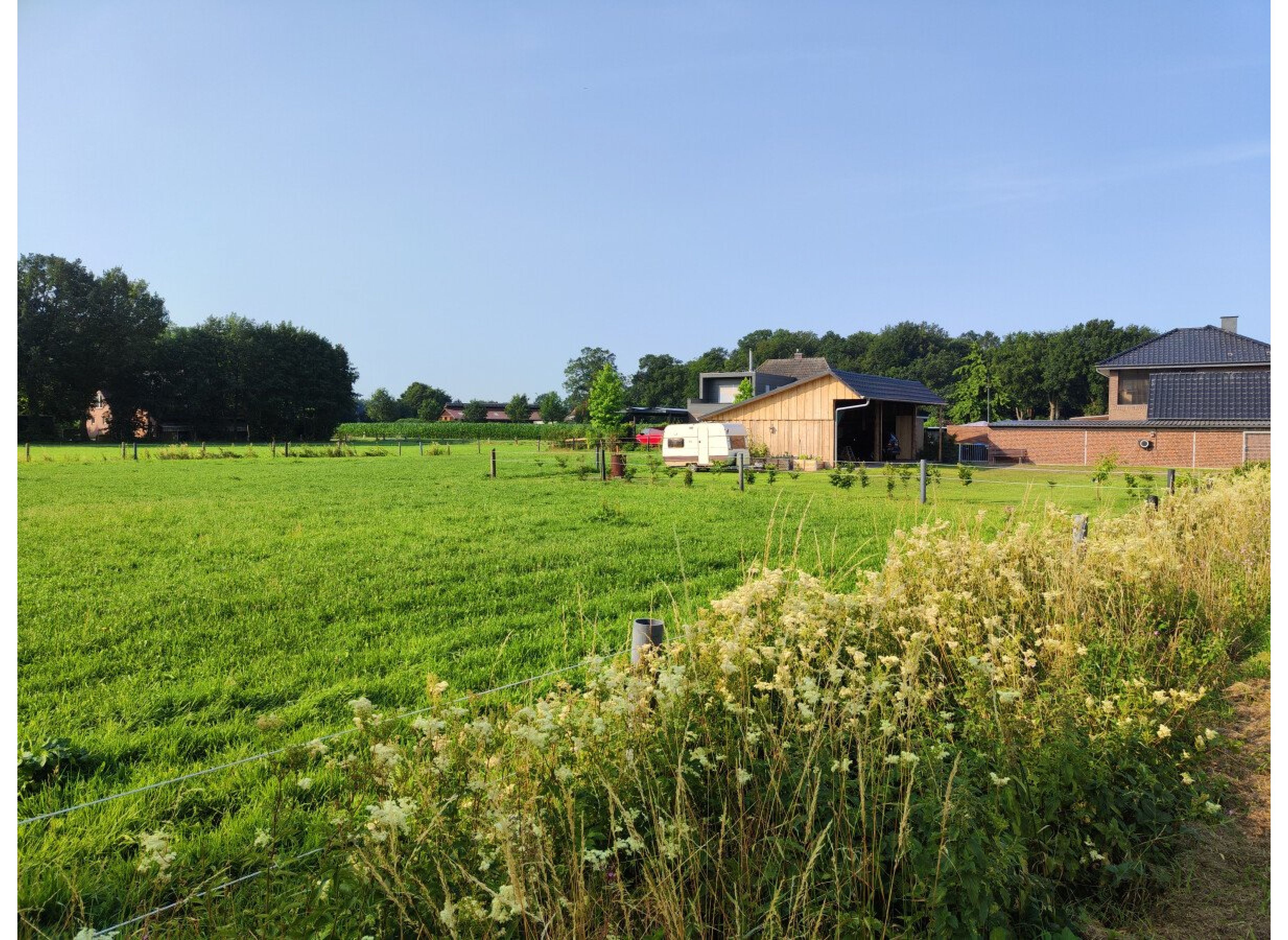 Mitten im Grünen-Hook — Photo 2