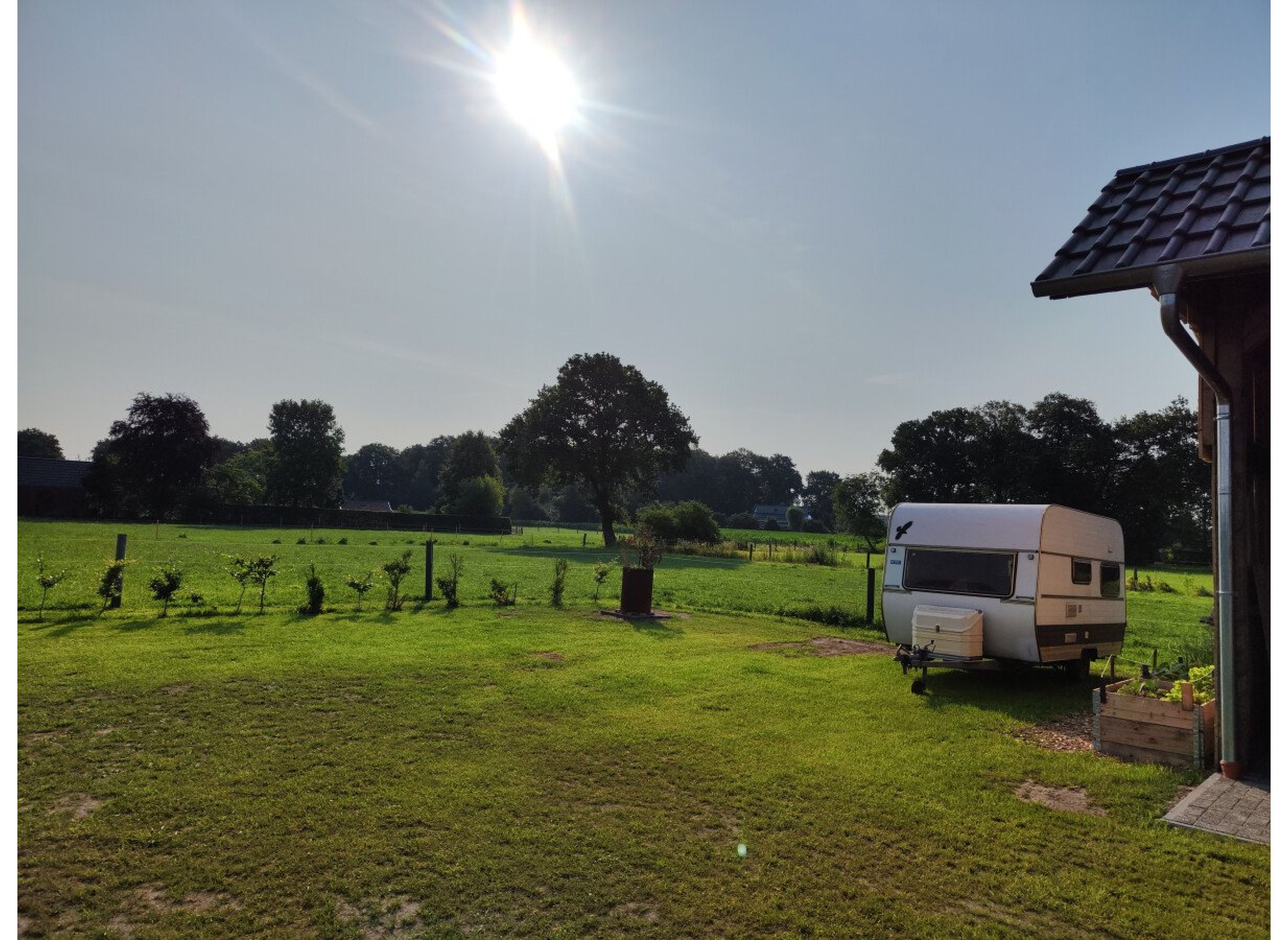 Mitten im Grünen-Hook — Photo 3