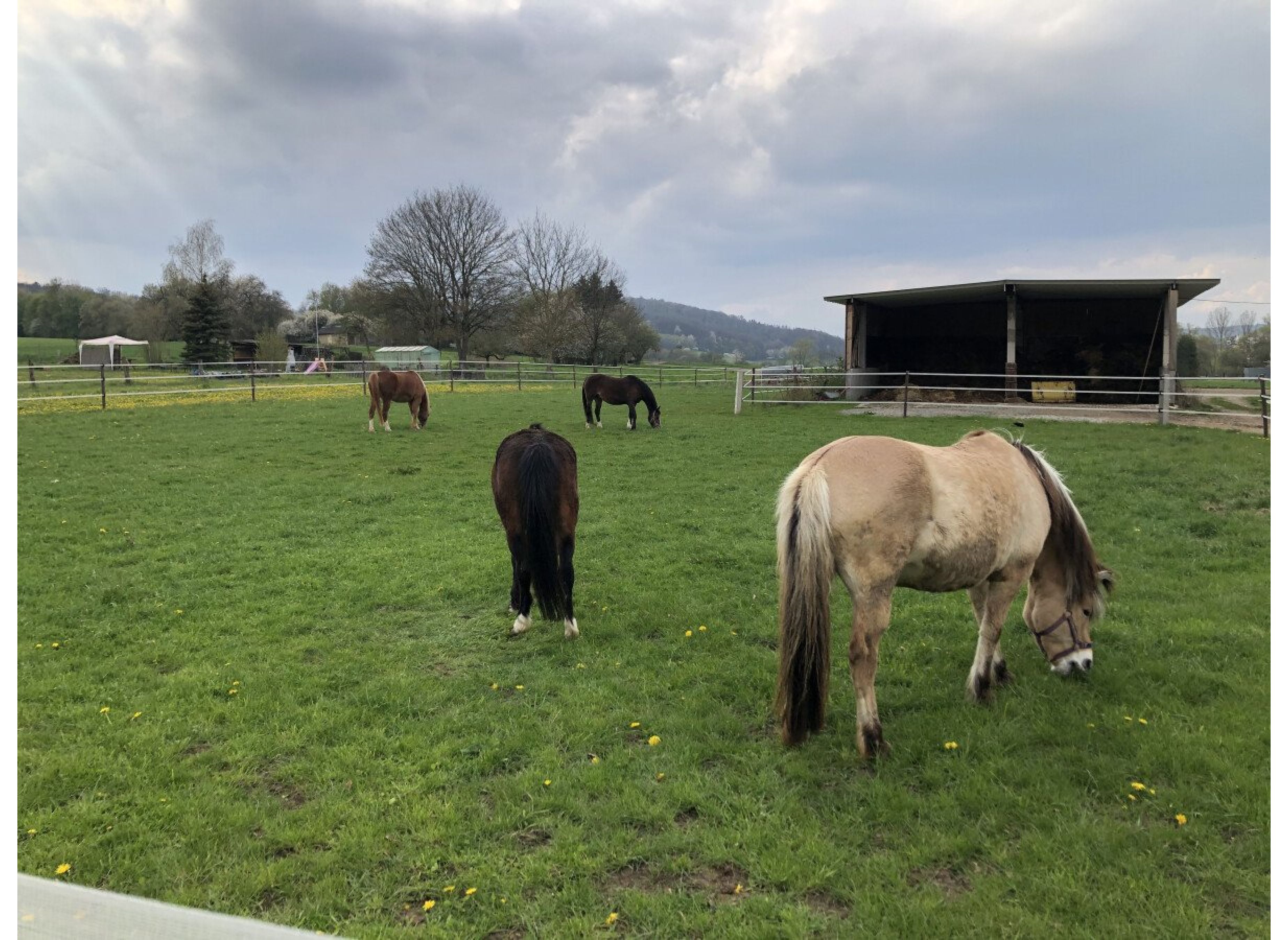 In Lohra auf einem Bauernhof — Photo 2