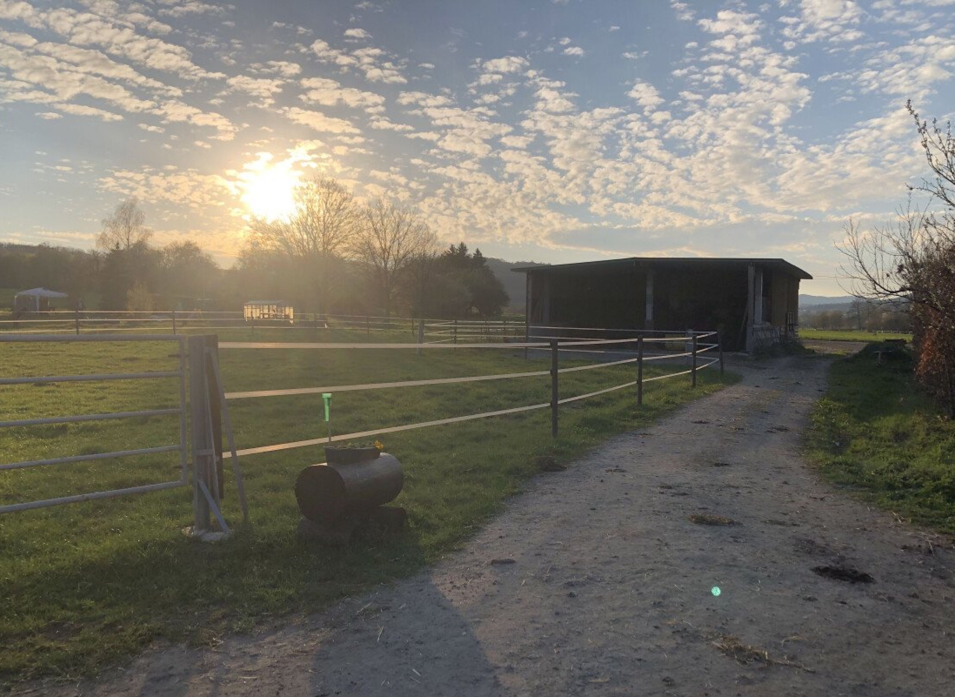 In Lohra auf einem Bauernhof — Photo 3