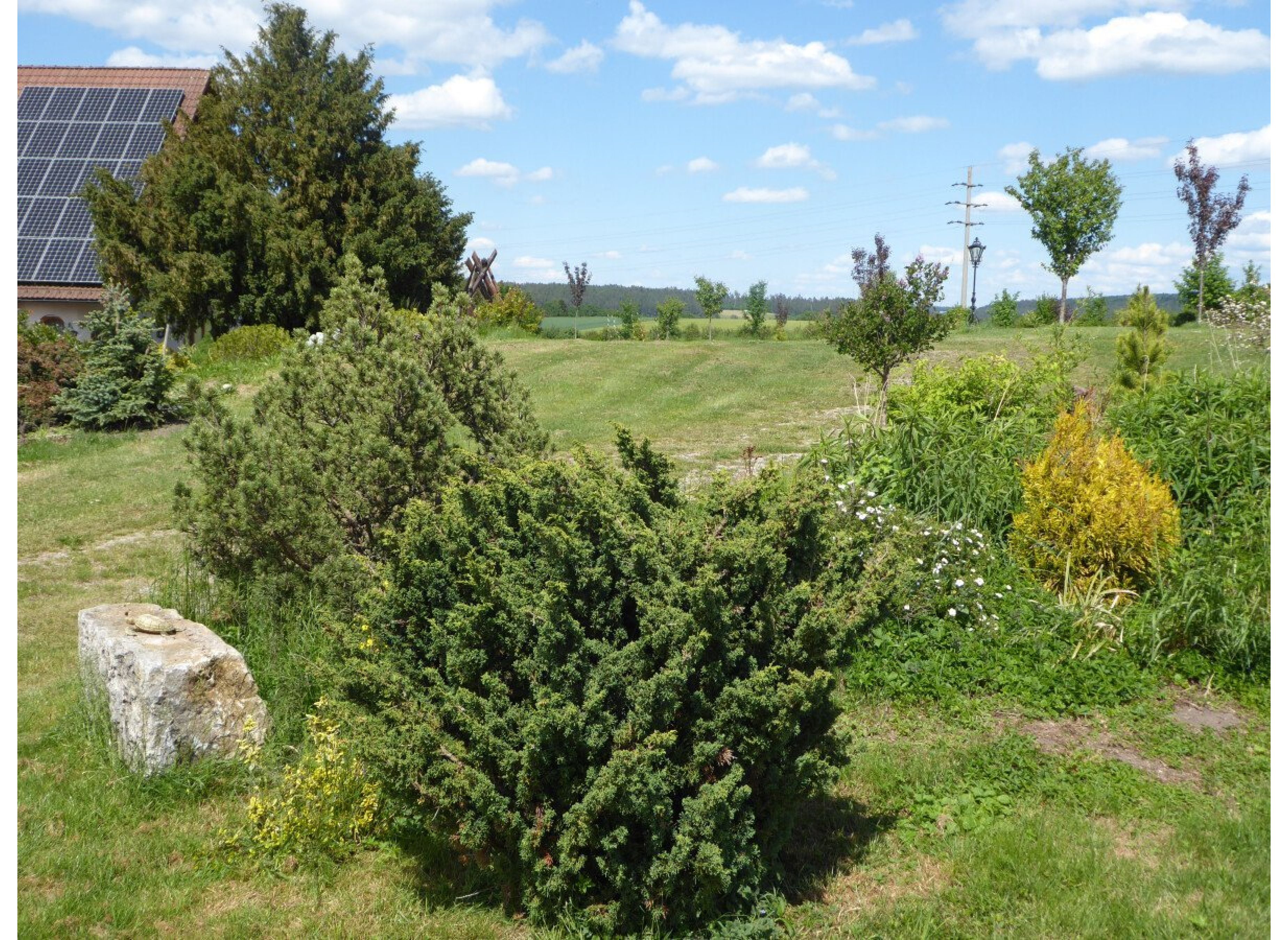 Idyllische Alleinlage mit Ausblick