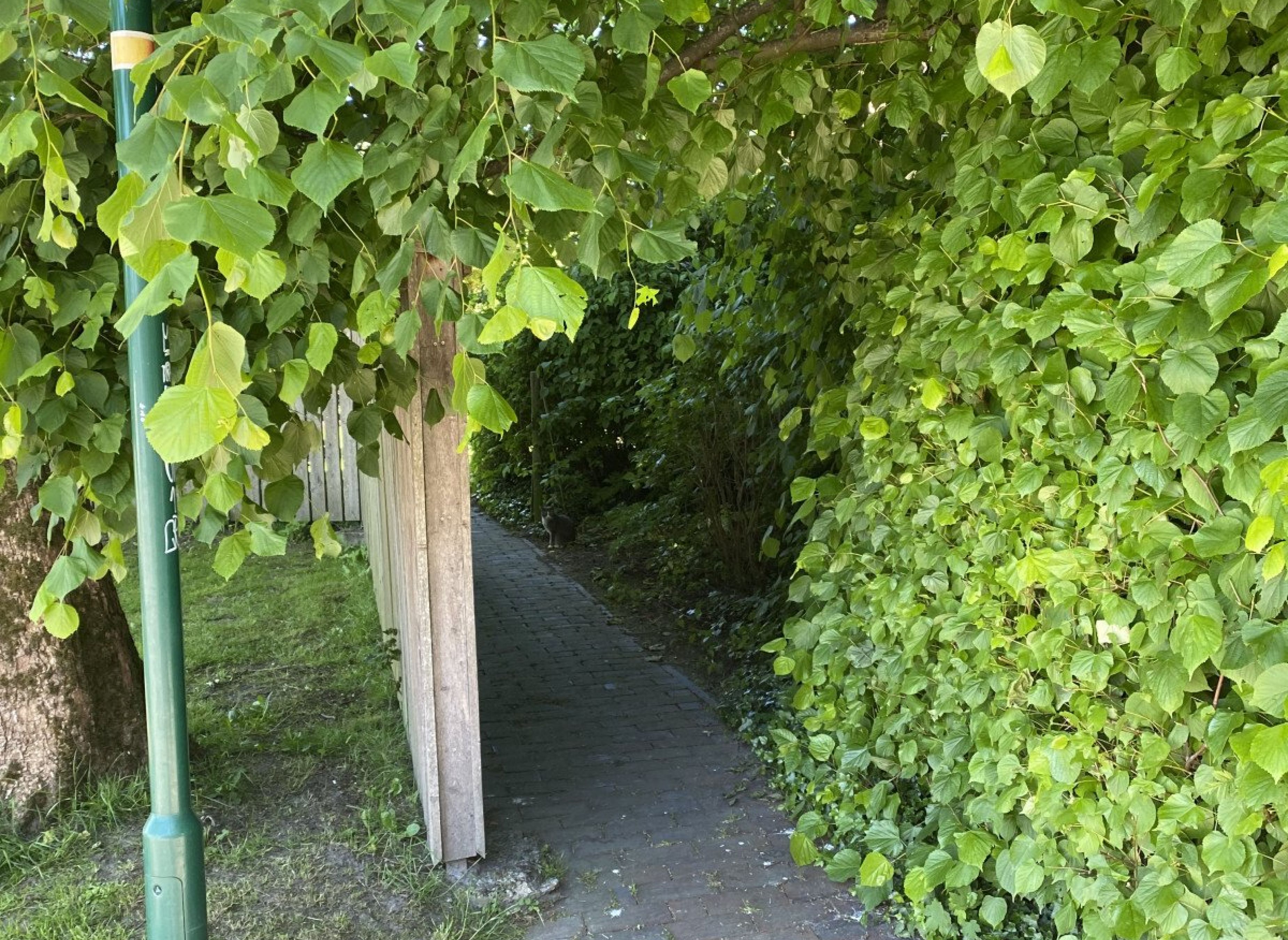 Accumer Garten — Photo 2