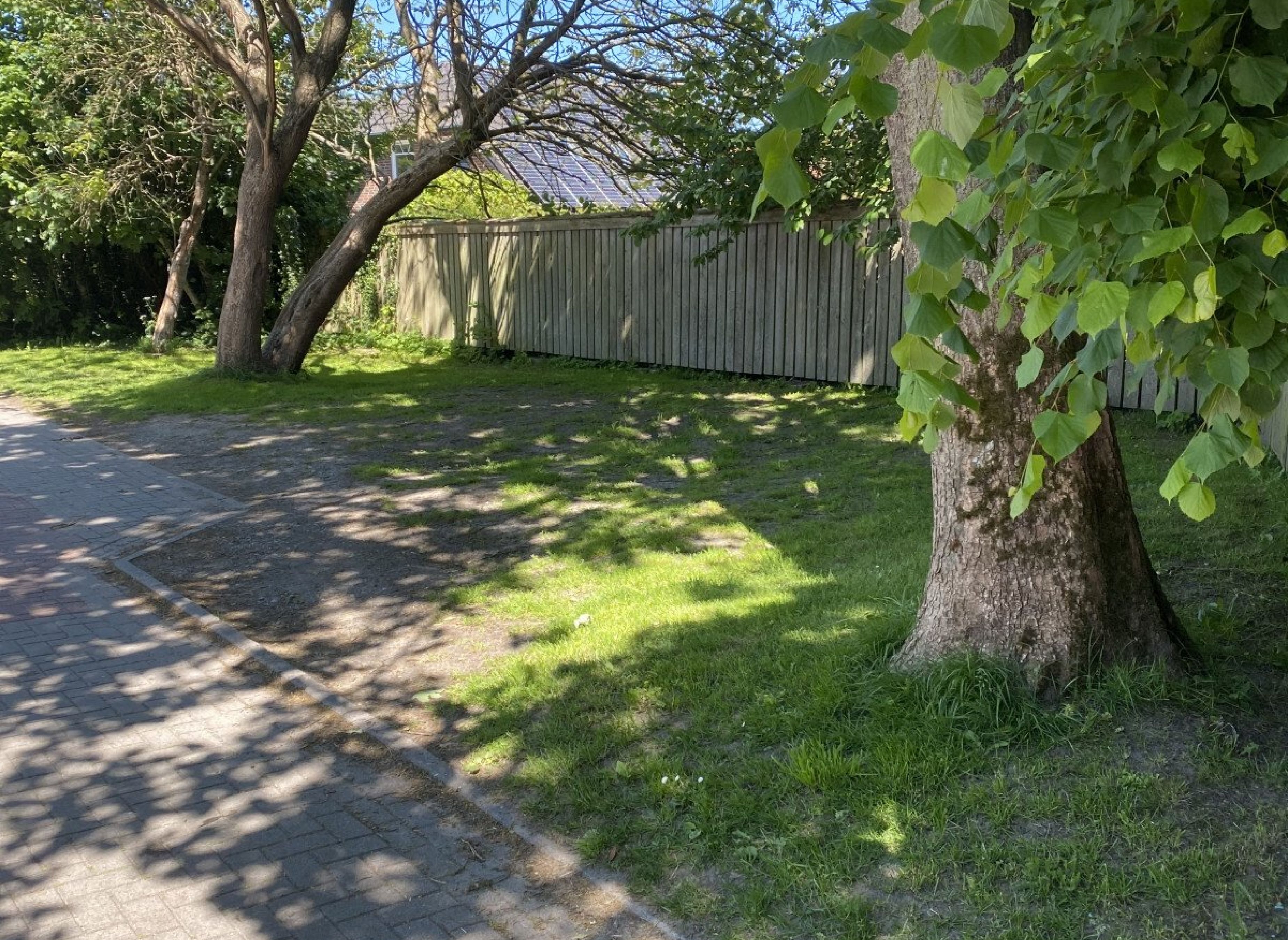 Accumer Garten — Photo 3