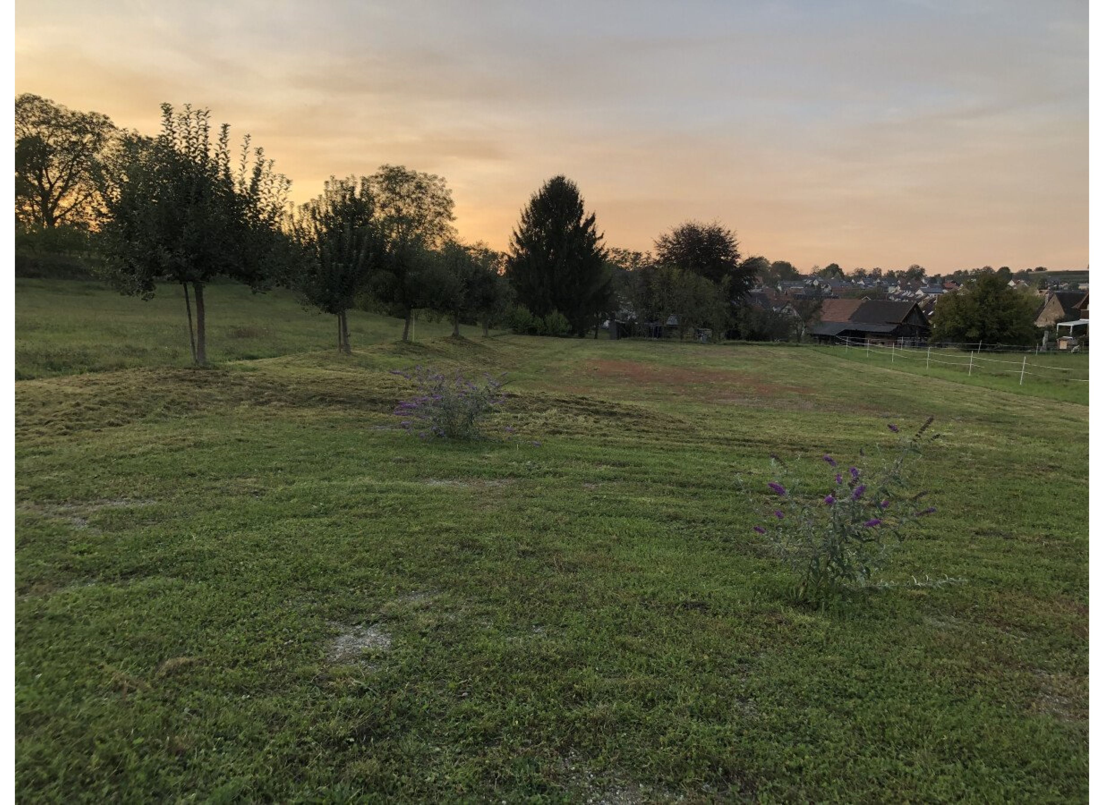 Aussiedlerhof am Ortsrand — Photo 3