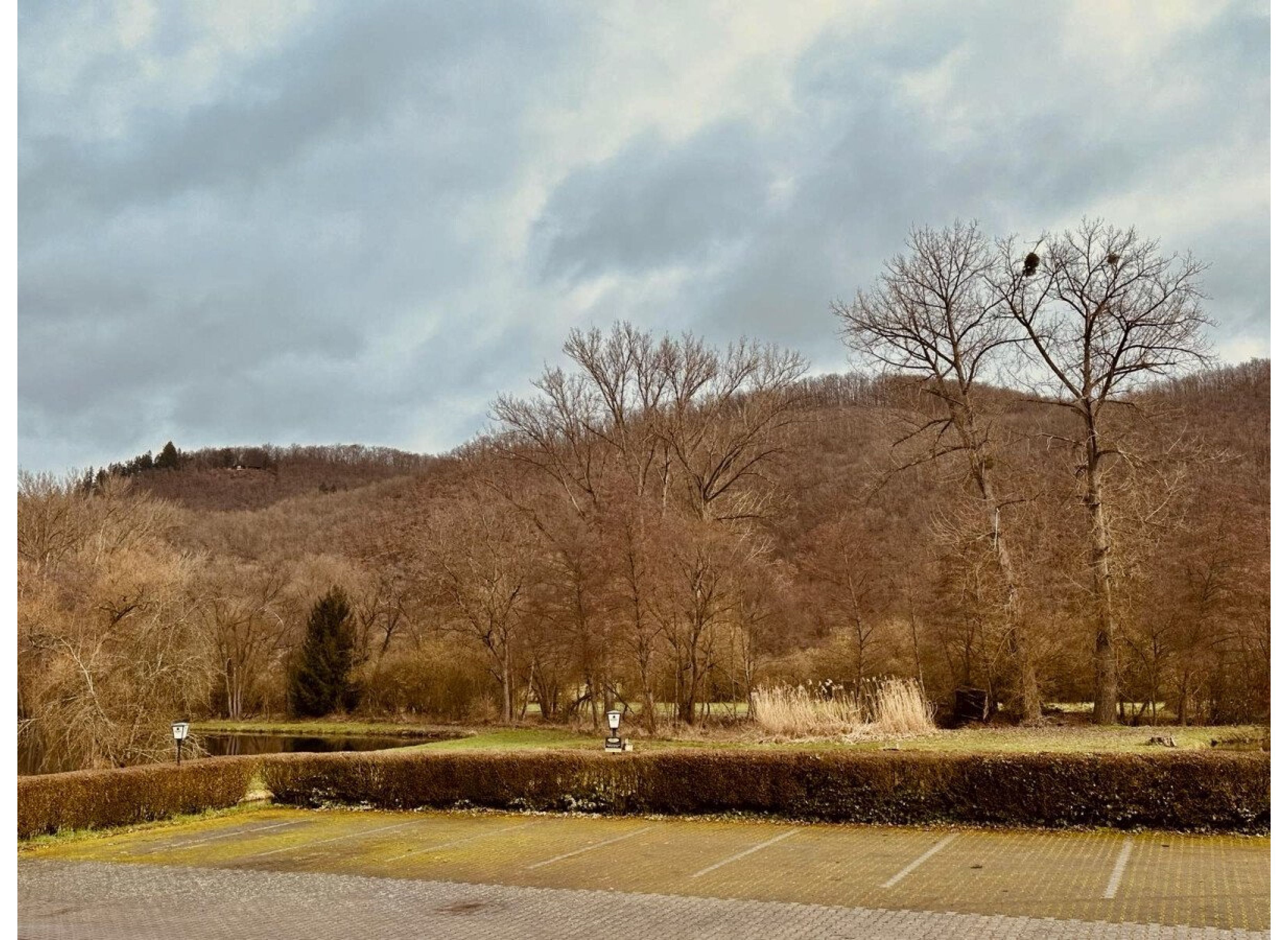 An der Forellenzucht