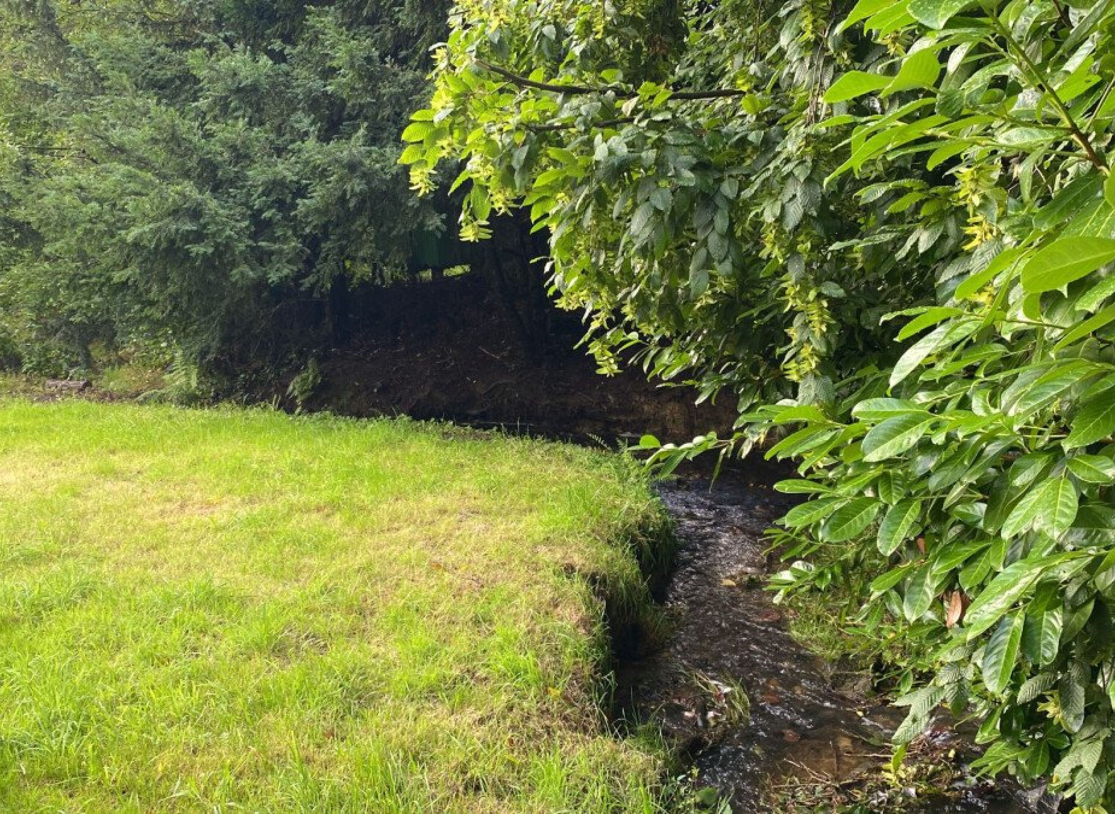 Stellplatz mit Dorffeeling — Photo 2