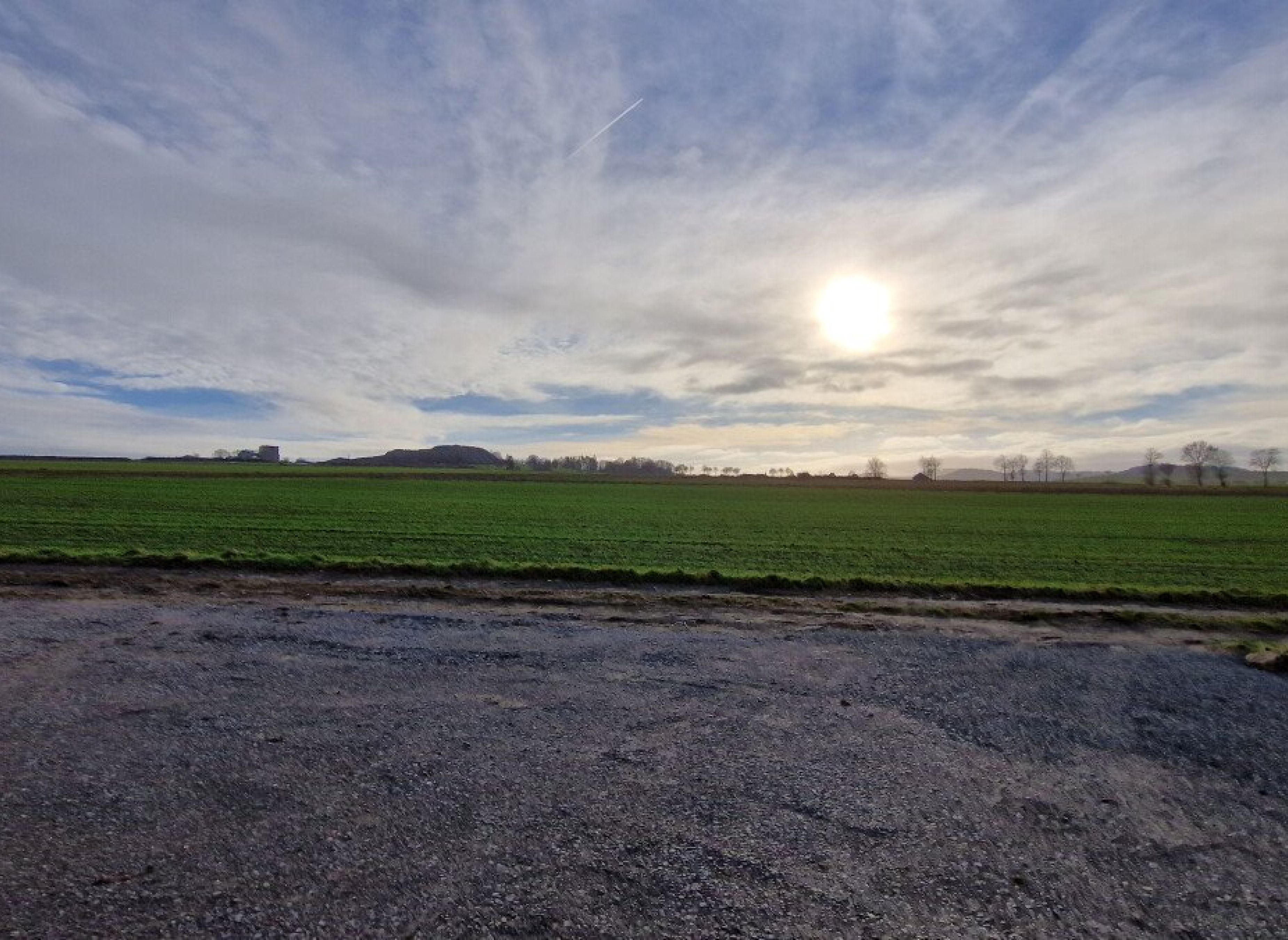 In der Morgensonne Frühstücken — Photo 2