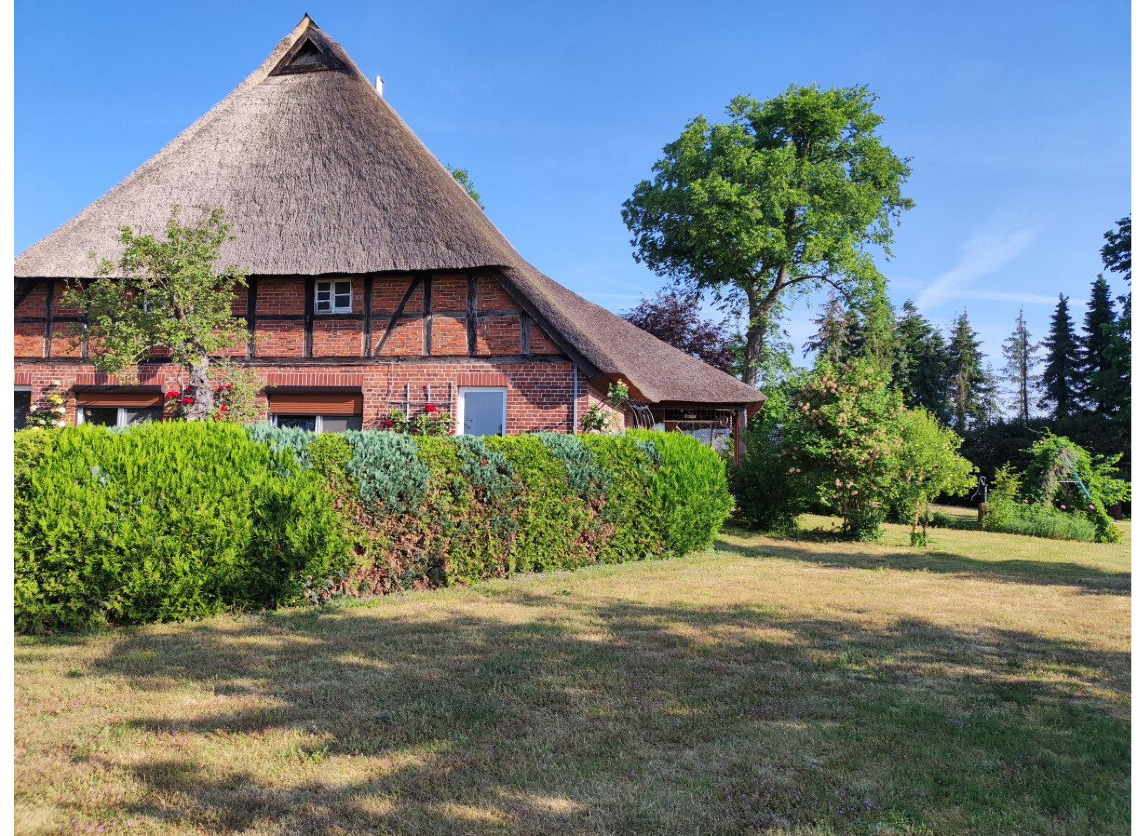 altes Bauernhausgrundstück mit Storchennest