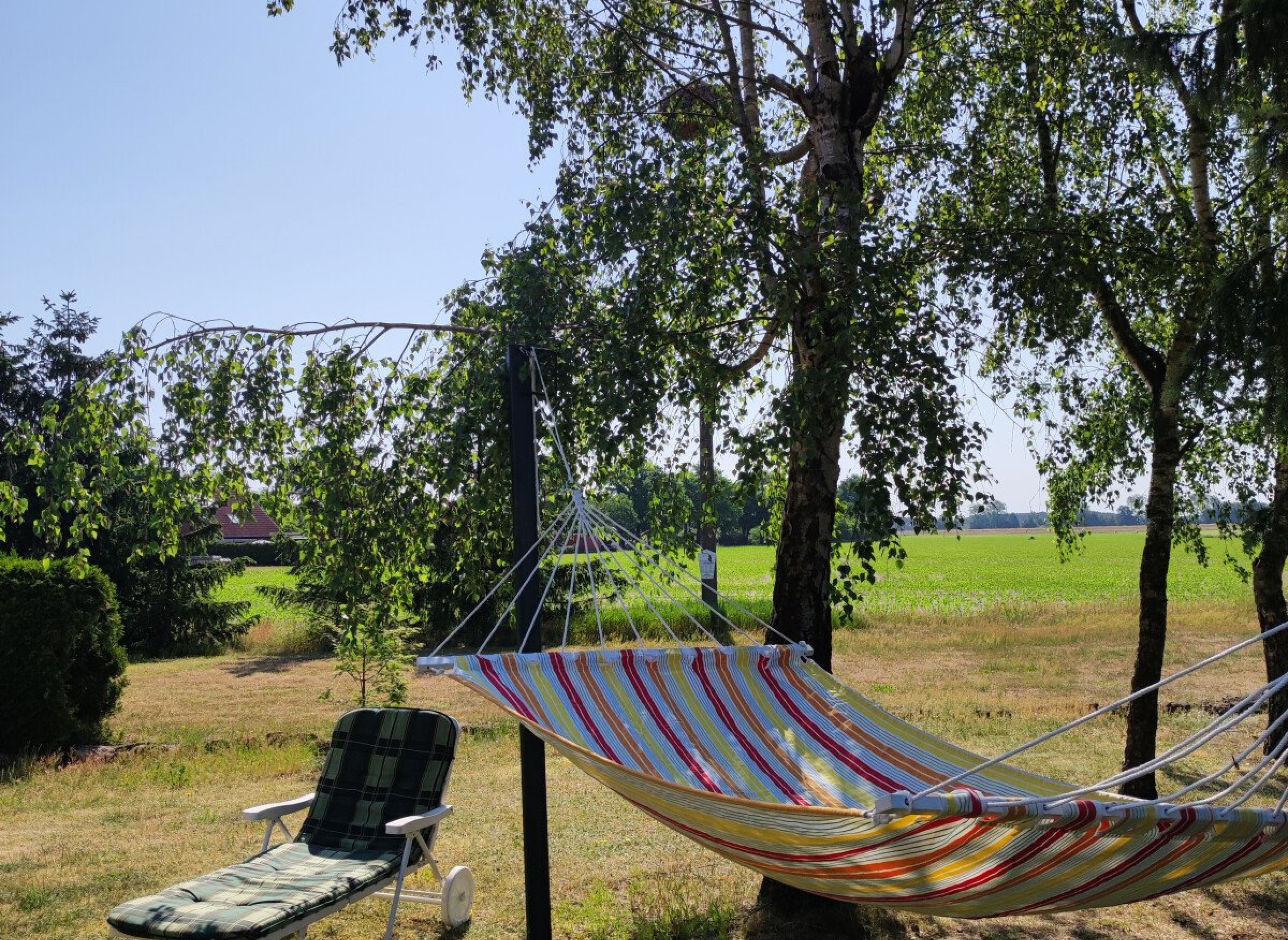 altes Bauernhausgrundstück mit Storchennest — Photo 3