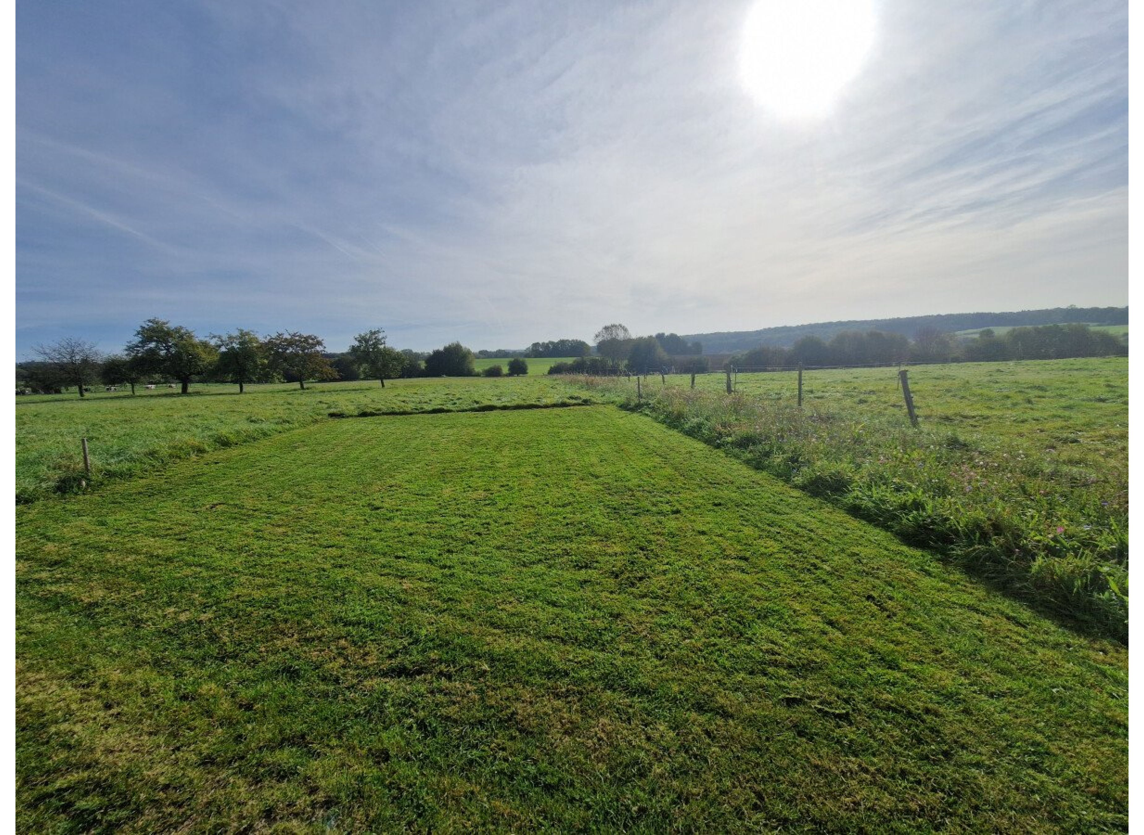 Entspannte Auszeit inmitten der Natur, zwischen Blumenwiesen und Feldern. Sonnenaufgang