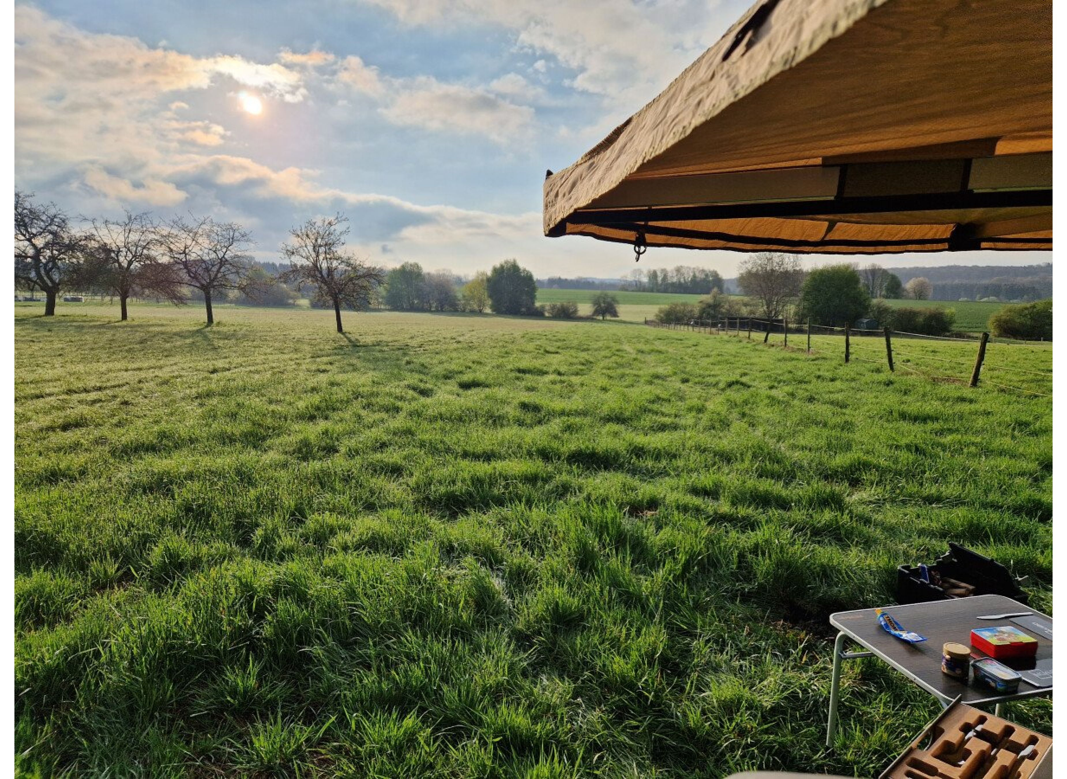 Entspannte Auszeit inmitten der Natur, zwischen Blumenwiesen und Feldern. Sonnenaufgang — Photo 2
