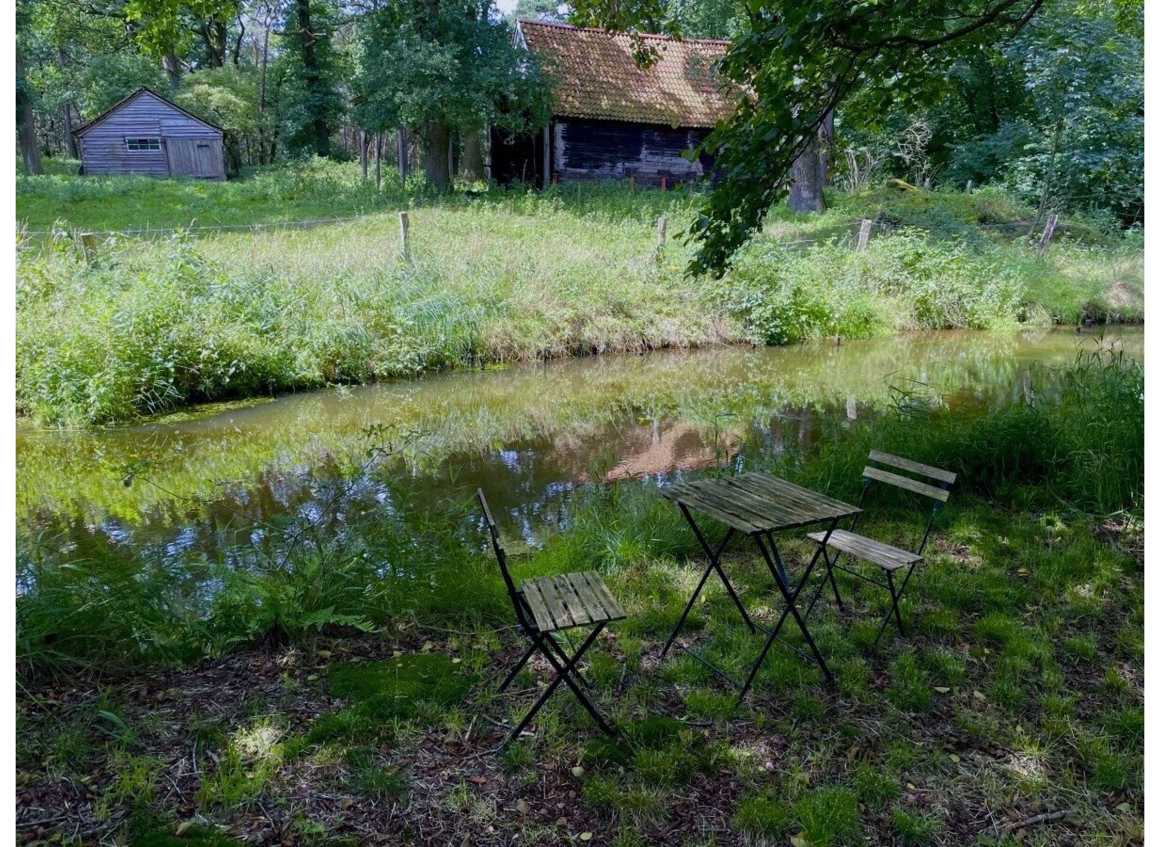 Auszeit auf einer wilden Wiese im Soestetal