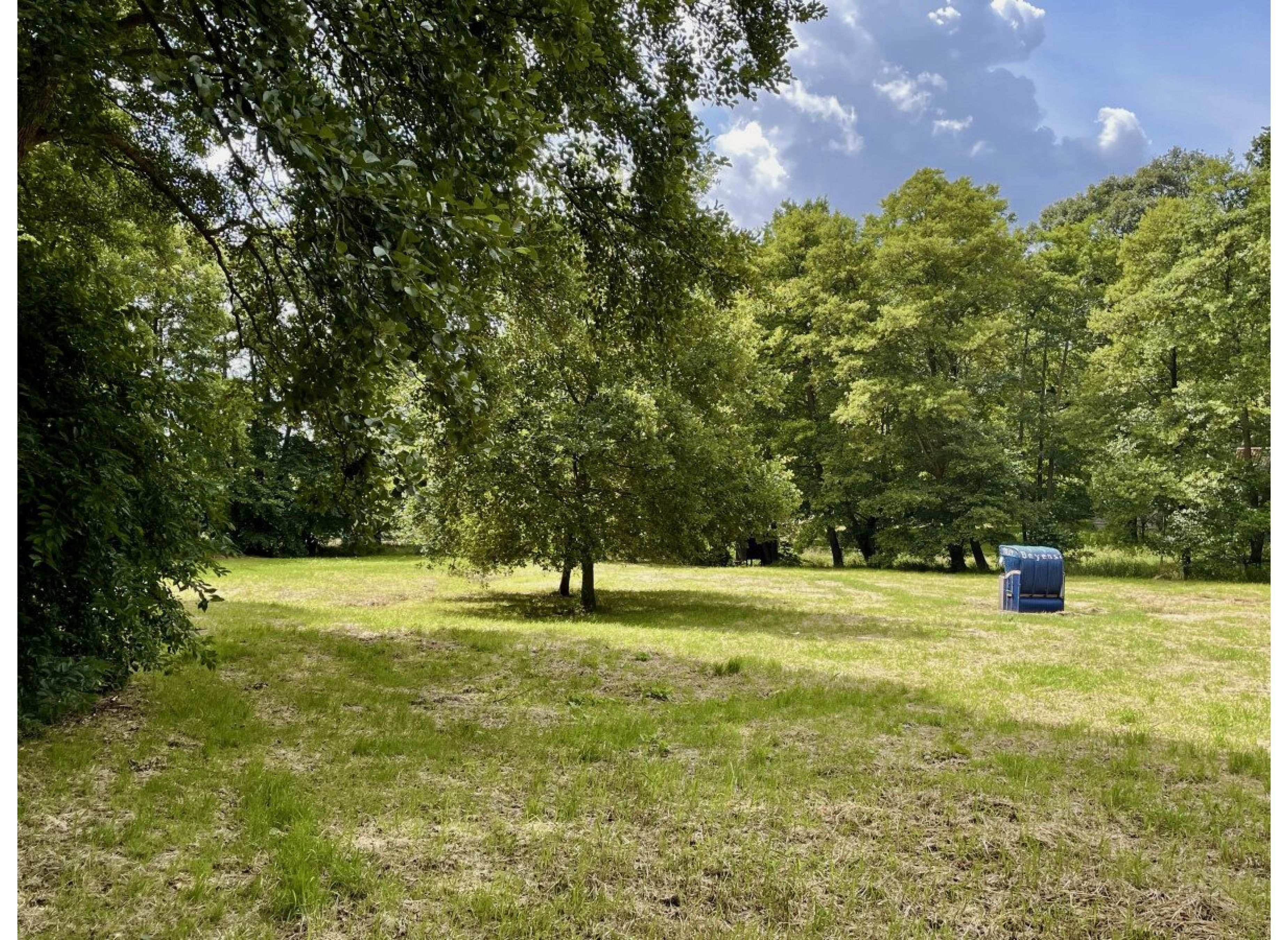 Auszeit auf einer wilden Wiese im Soestetal — Photo 2