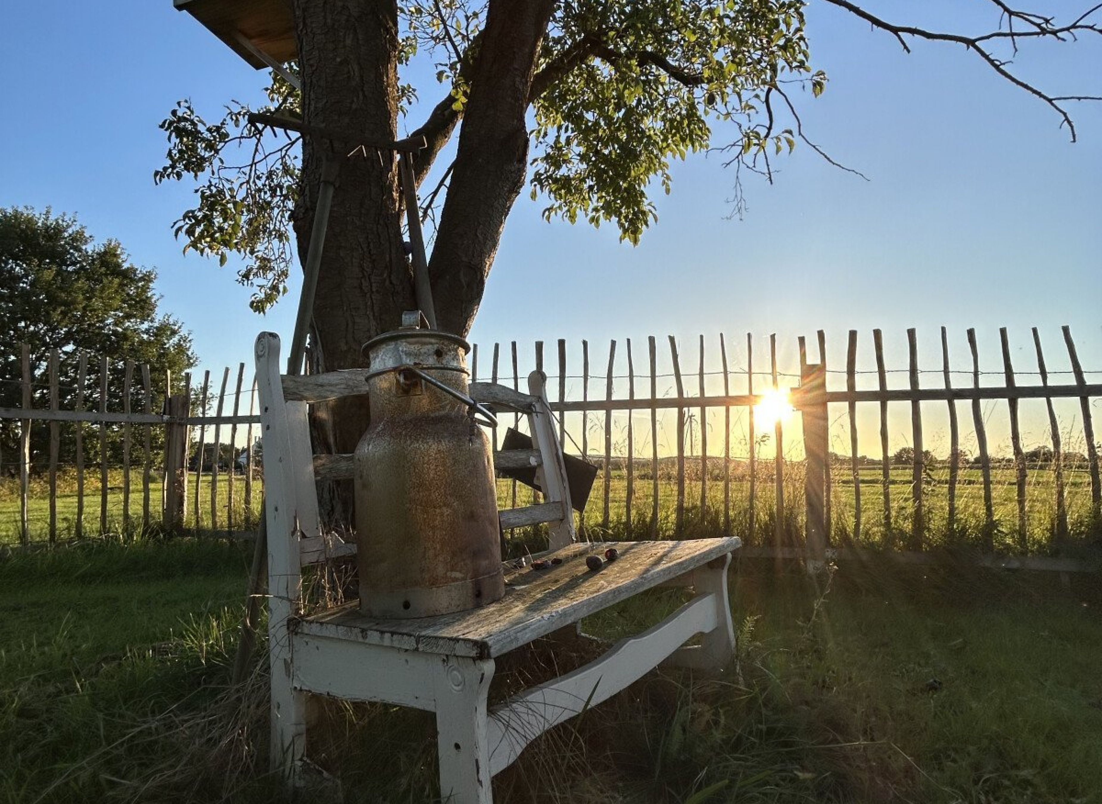 Platz auf der grünen Wiese mit Blick in den Sonnenuntergang