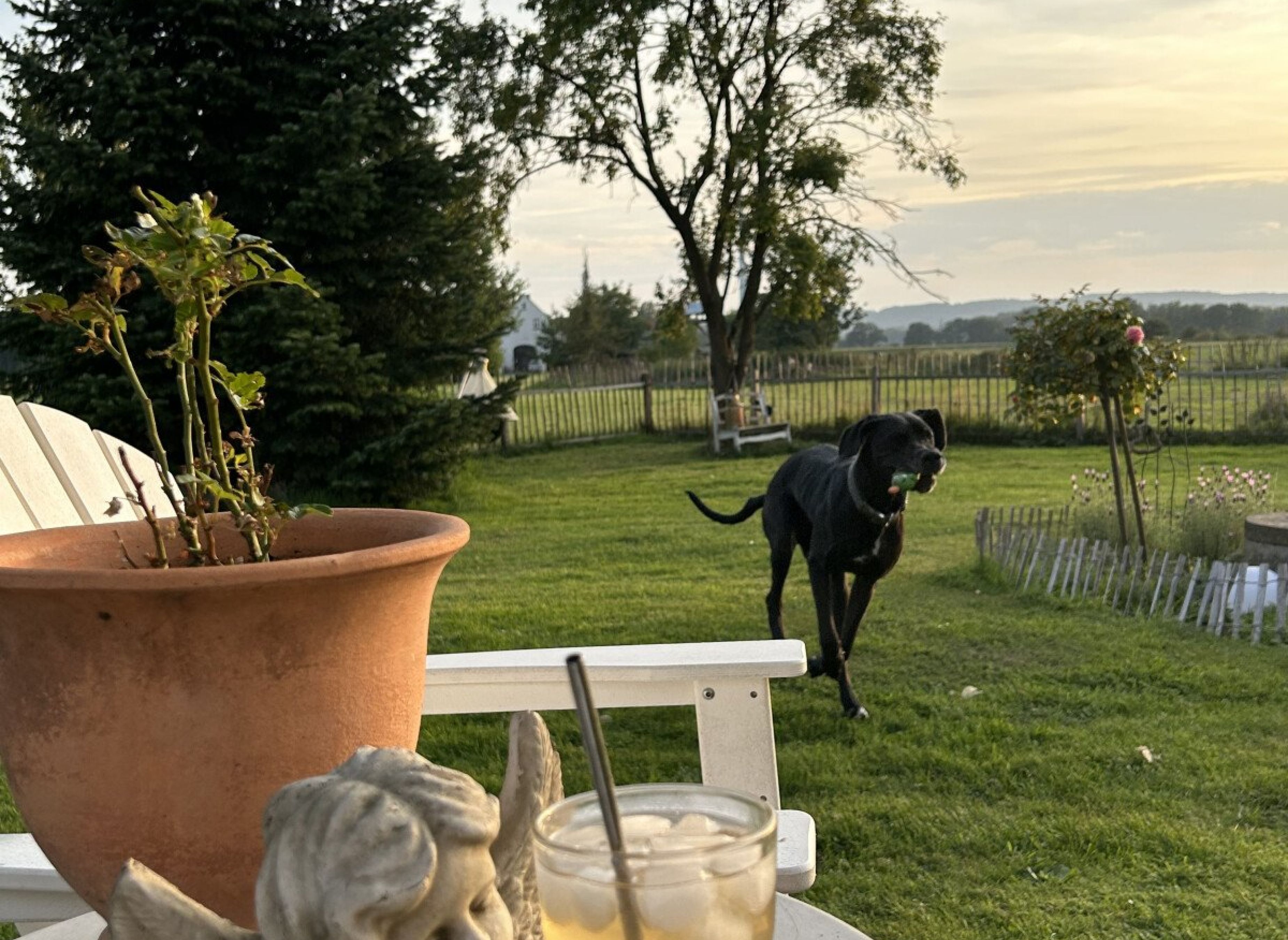 Platz auf der grünen Wiese mit Blick in den Sonnenuntergang — Photo 2
