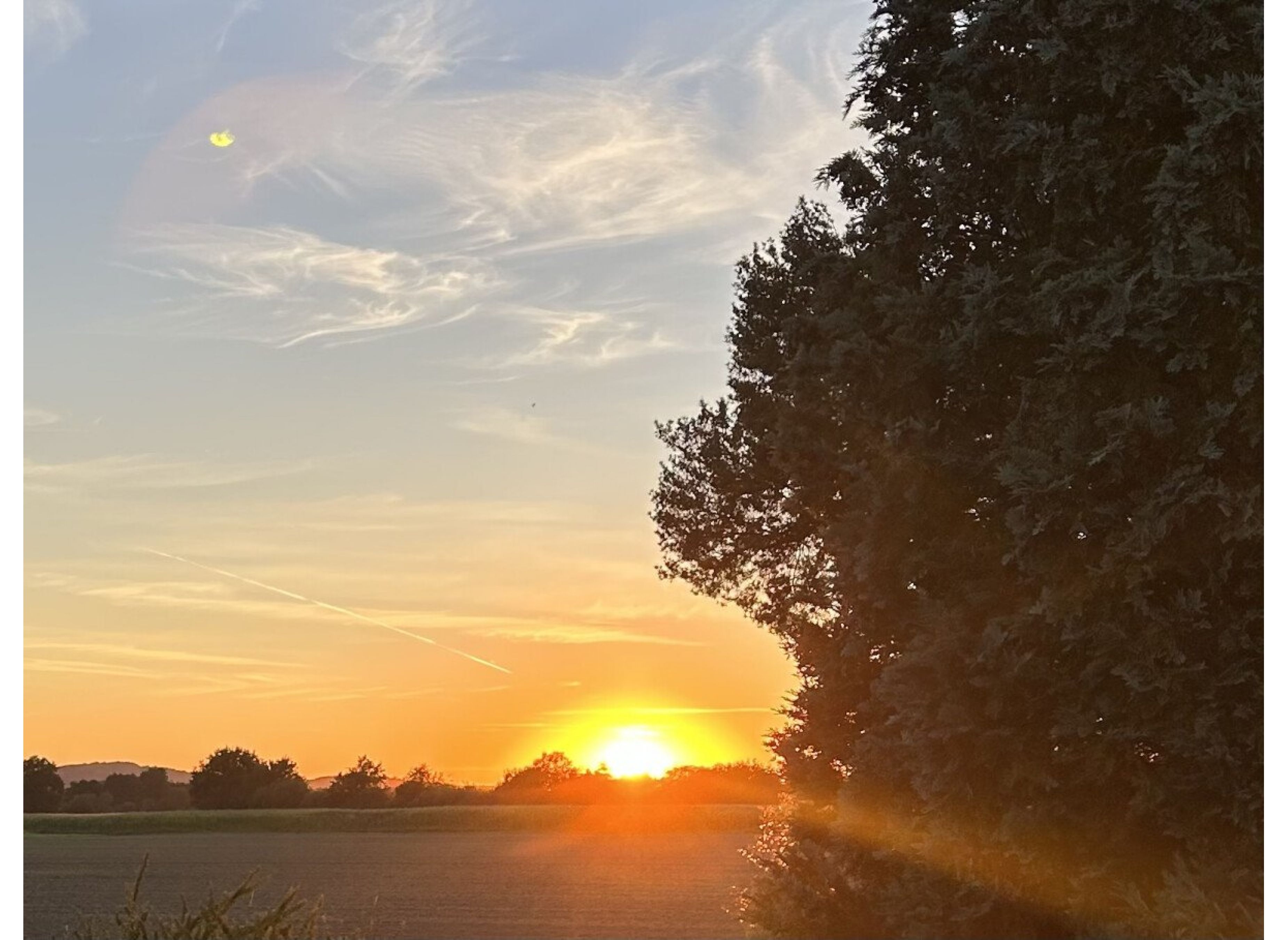 Platz auf der grünen Wiese mit Blick in den Sonnenuntergang — Photo 3