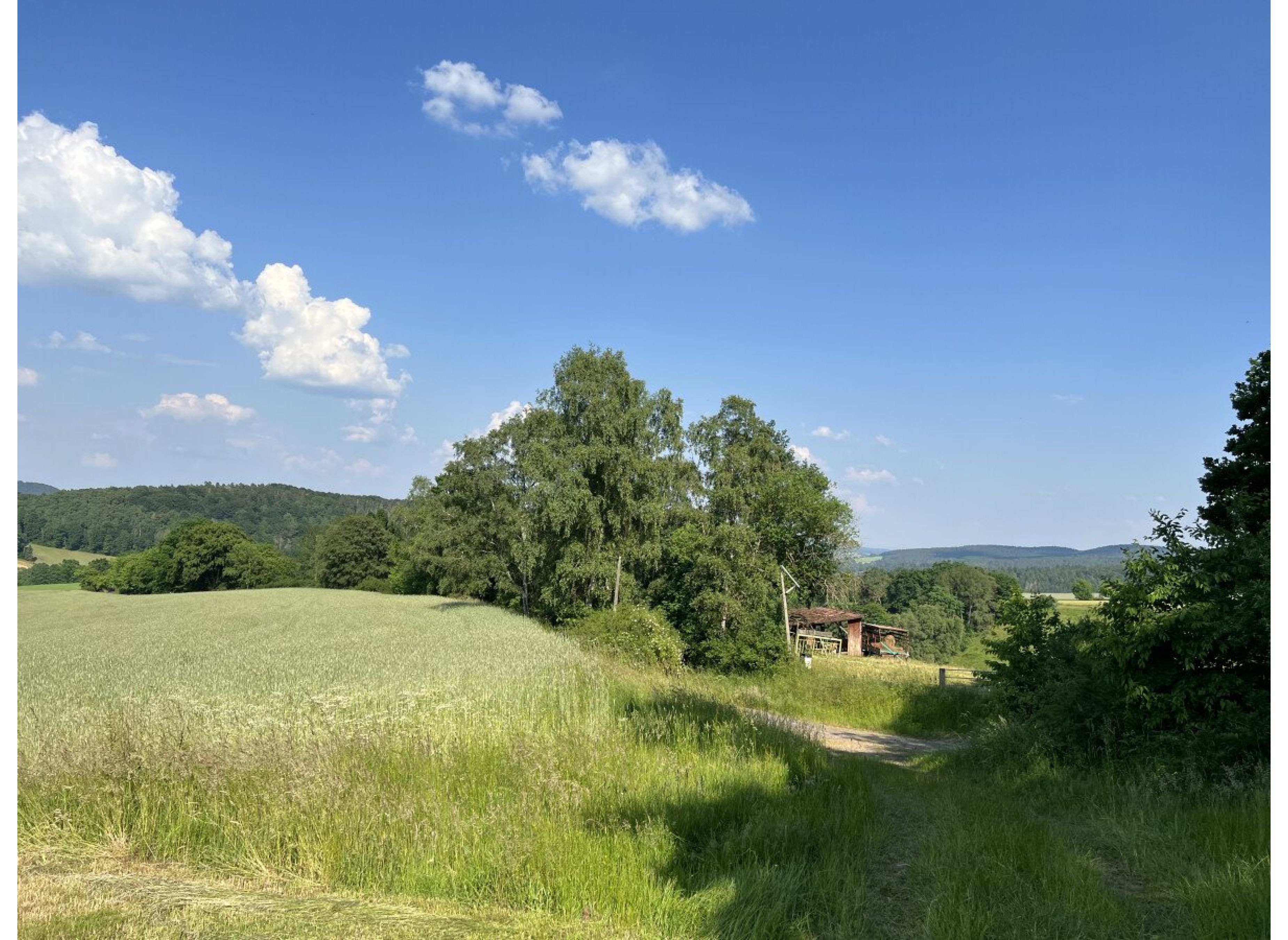 Wunderschöne Auszeit in der Natur mit Blick auf den Meisner und Alheimer — Photo 2