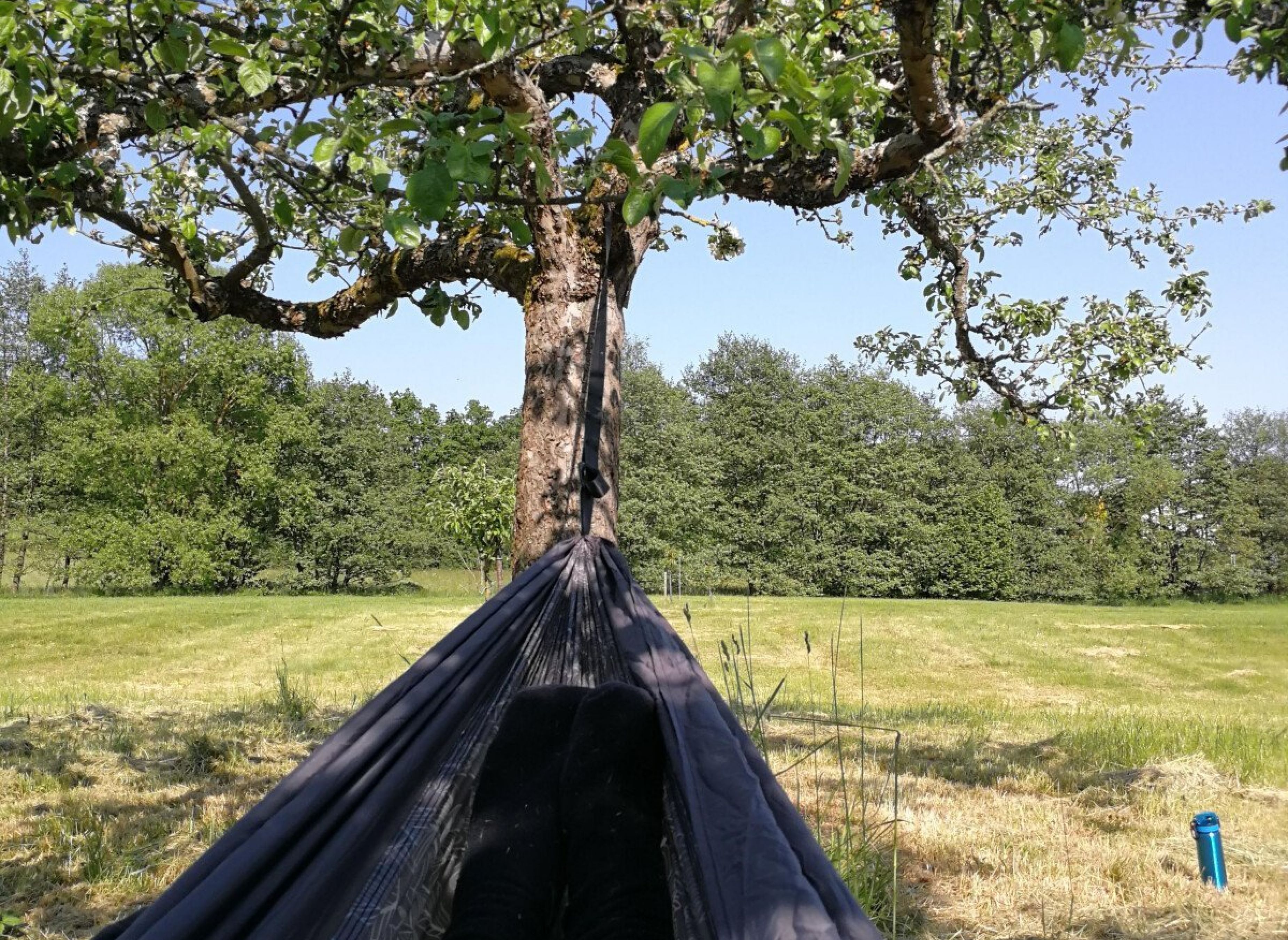 Camping unter Apfelbäumen — Photo 2