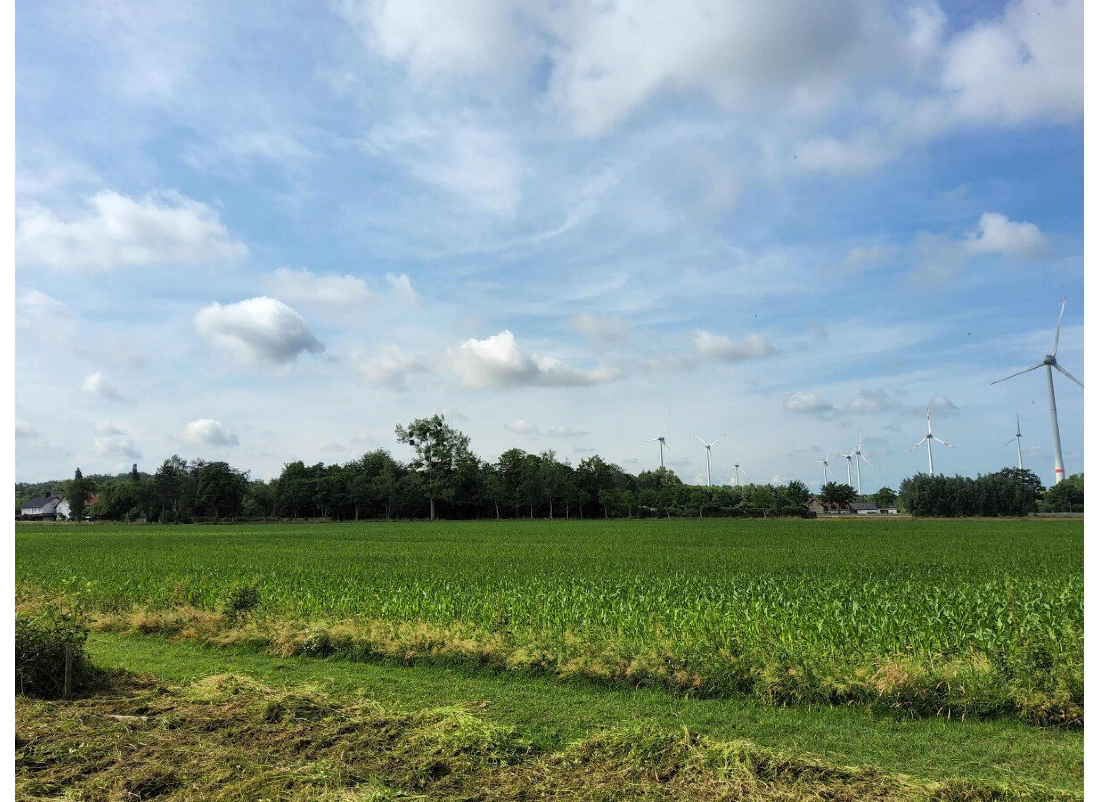 Auszeit mit Lagerfeuer — Photo 3