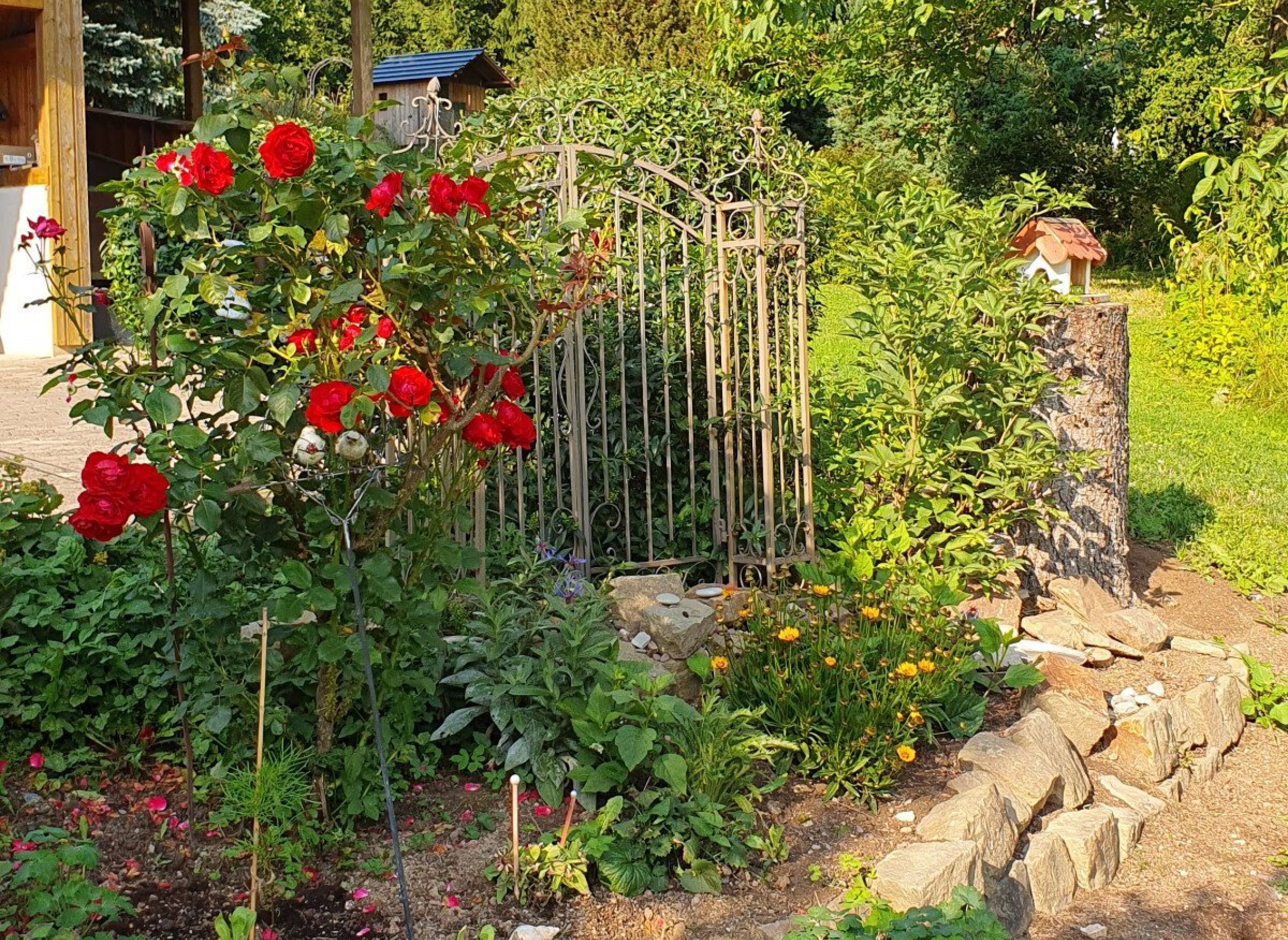 Ein Garten, wo man die Seele auch baumeln lassen kann. — Photo 2