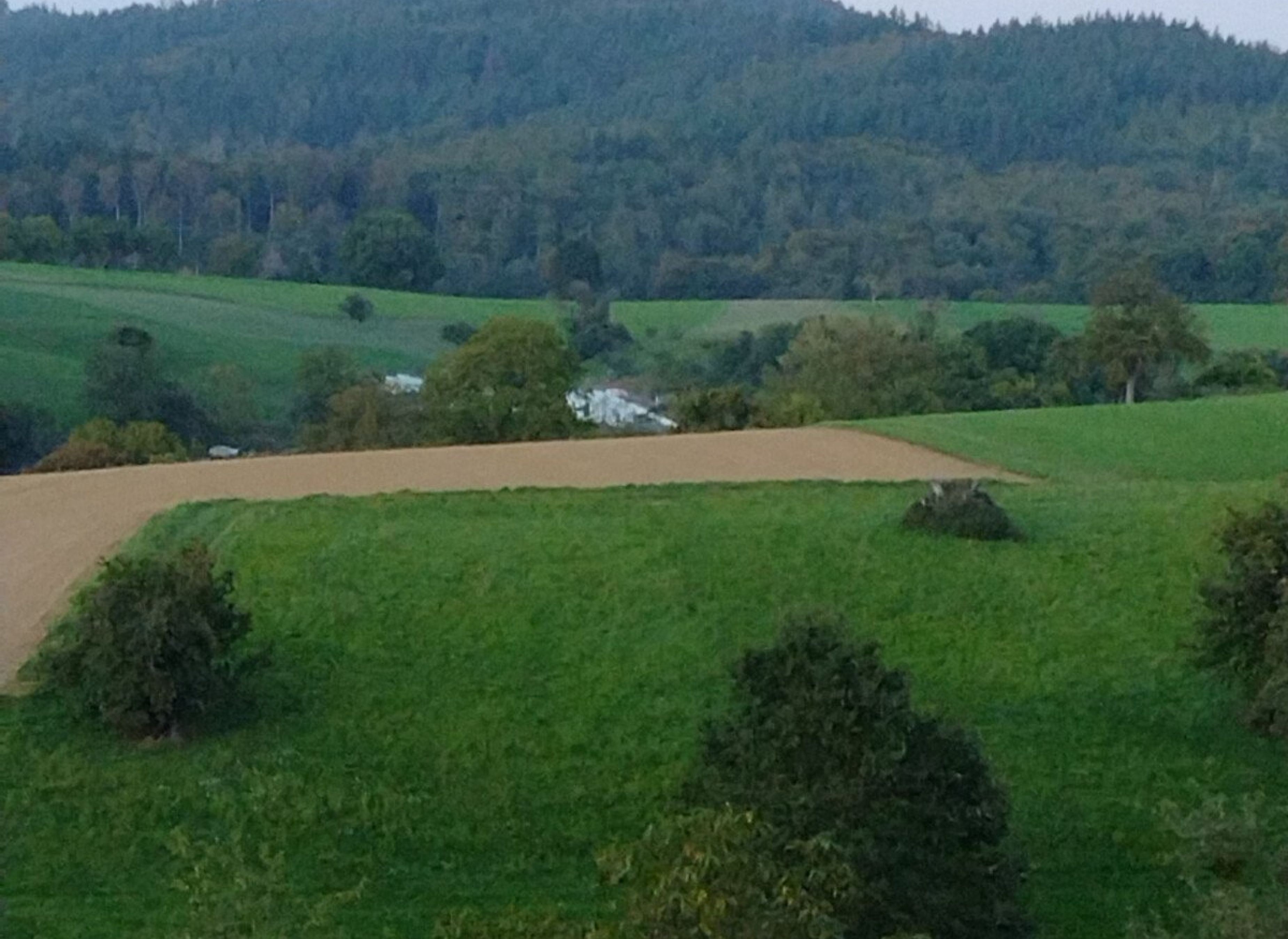 Im Herzen vom südlichen Odenwald