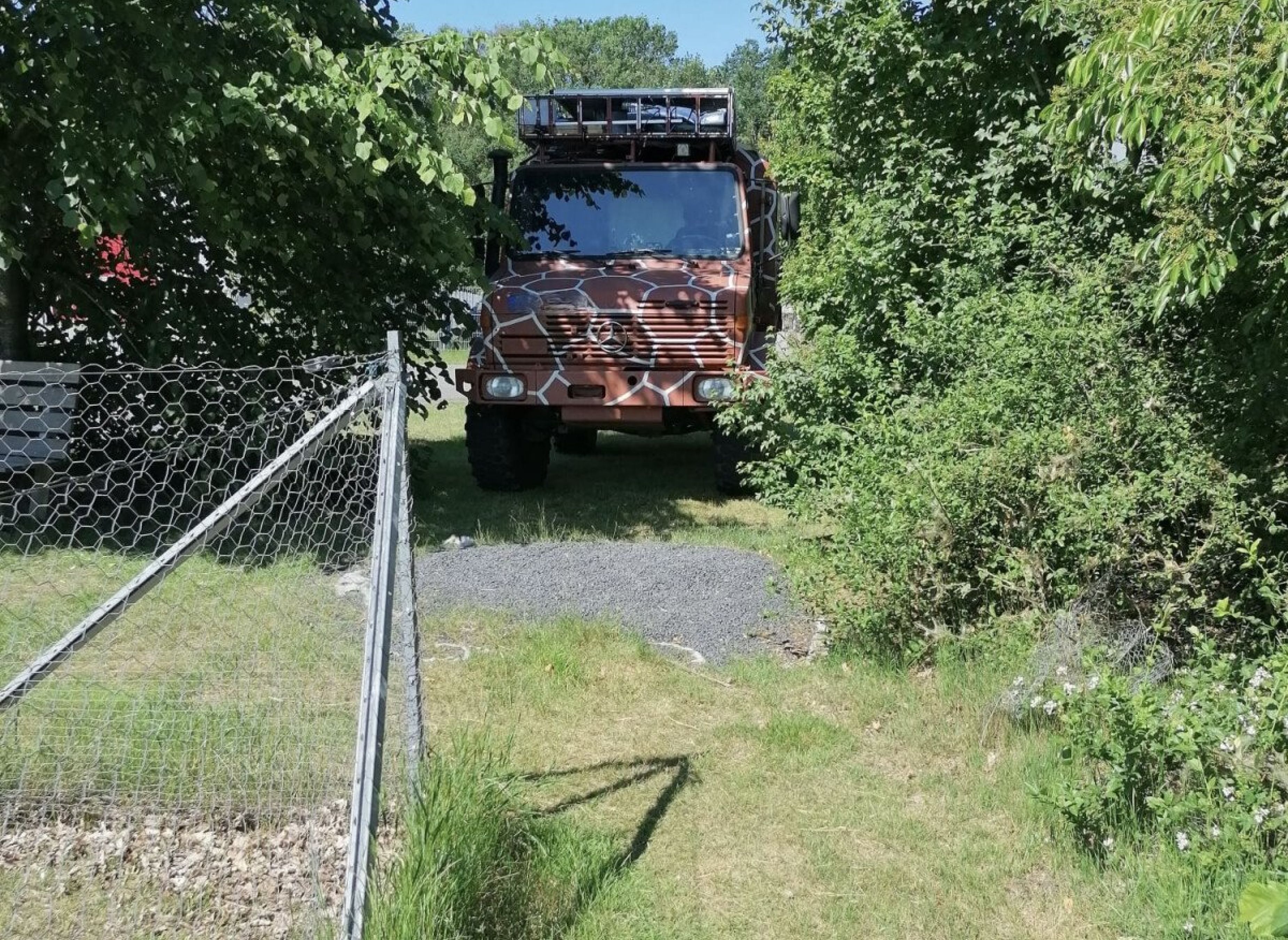 Idyllisch kleiner Hof mit Alpakas