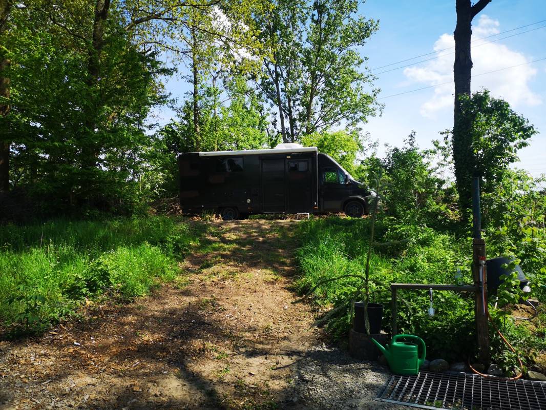 Wohnmobilstellplatz am Angelpark Vöhrum — Photo 5