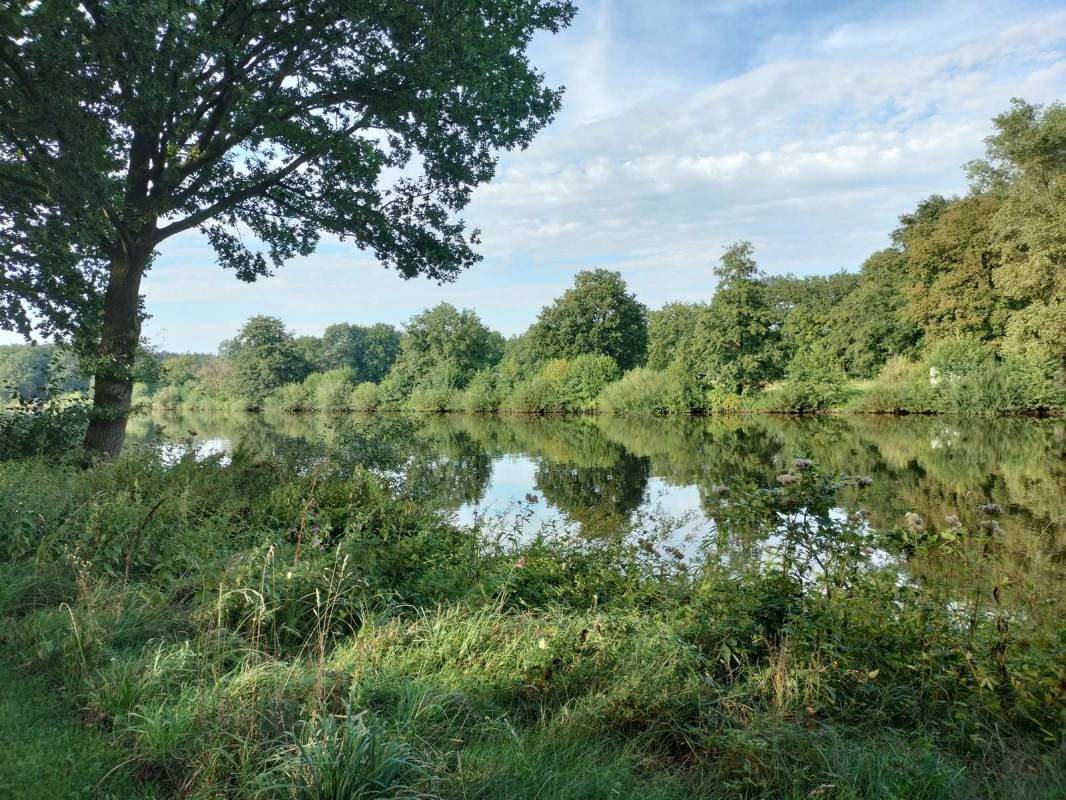 Wohnmobilhafen Emsblick — Photo 3