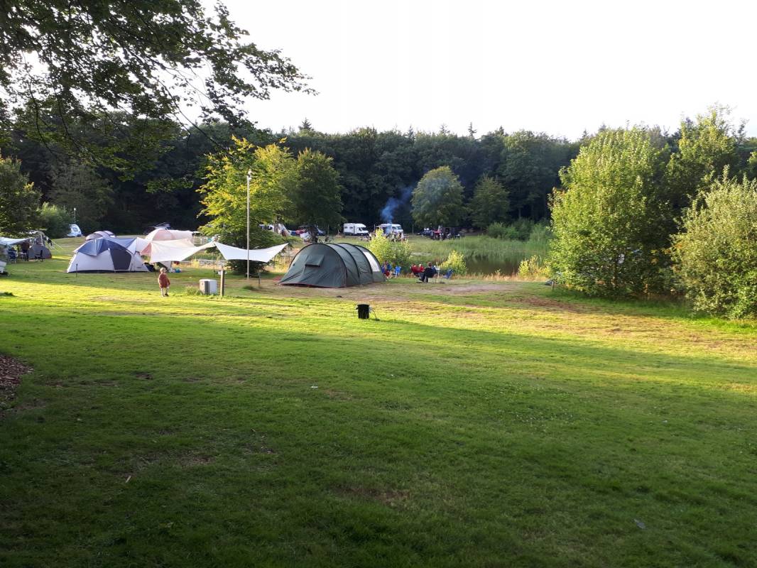 Landgoed Börkerheide — Photo 4