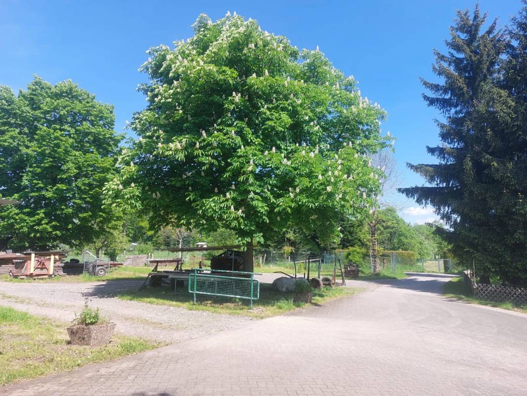 Privatgrundstück Am Bleiberg — Photo 2