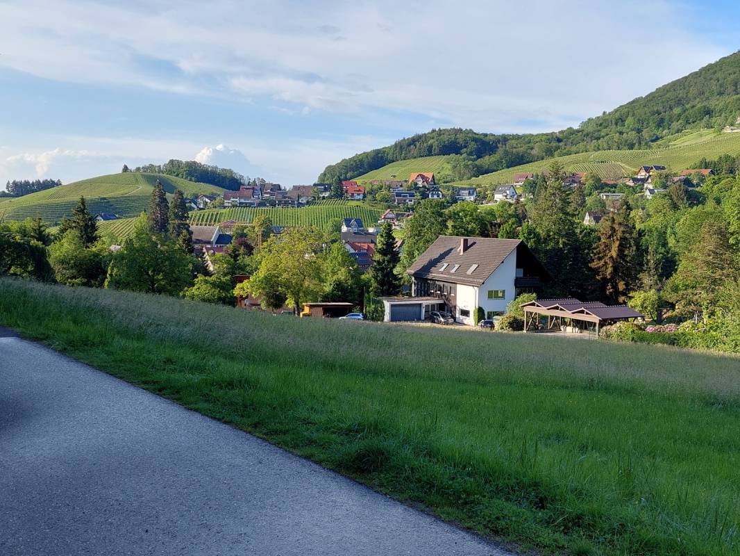 Stellplatz Naturhotel Holzwurm (max 6 m)