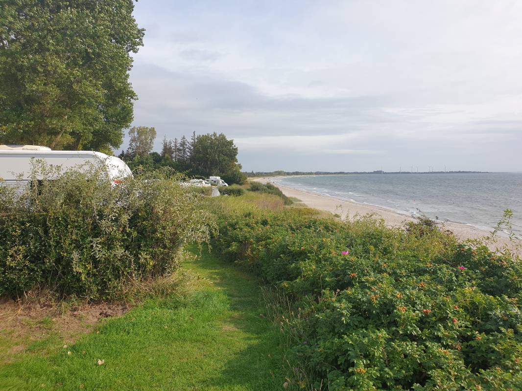 Skovmose Strand Camping — Photo 2