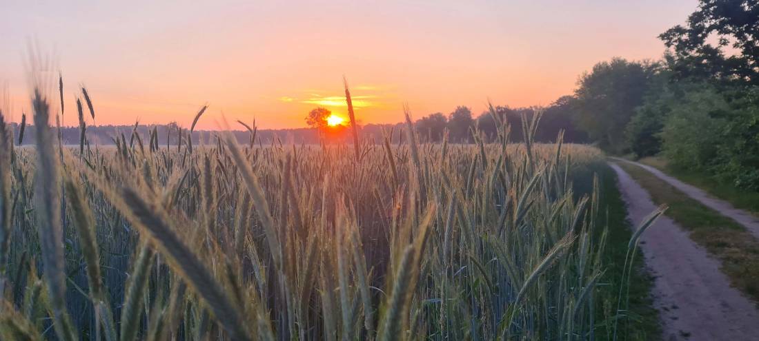 Campingplatz Waldesruh