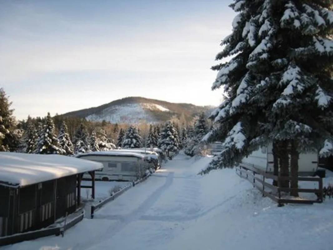 Die Wölfe vom Wolfenstein e.V