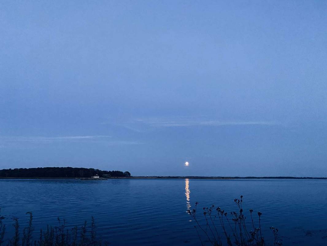 Klintebjerg Badelaug — Photo 5