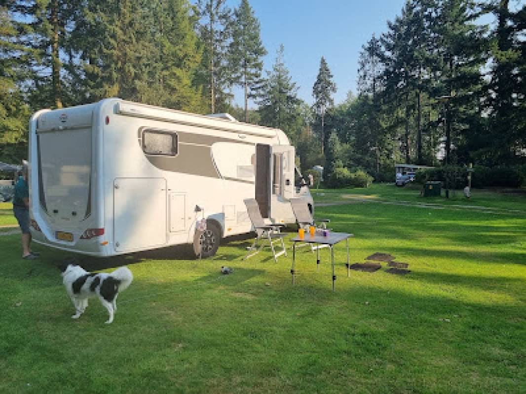 Stellplatz Gut Moorbeck — Photo 2