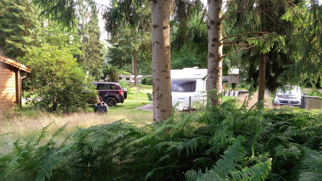 Stellplatz Gut Moorbeck