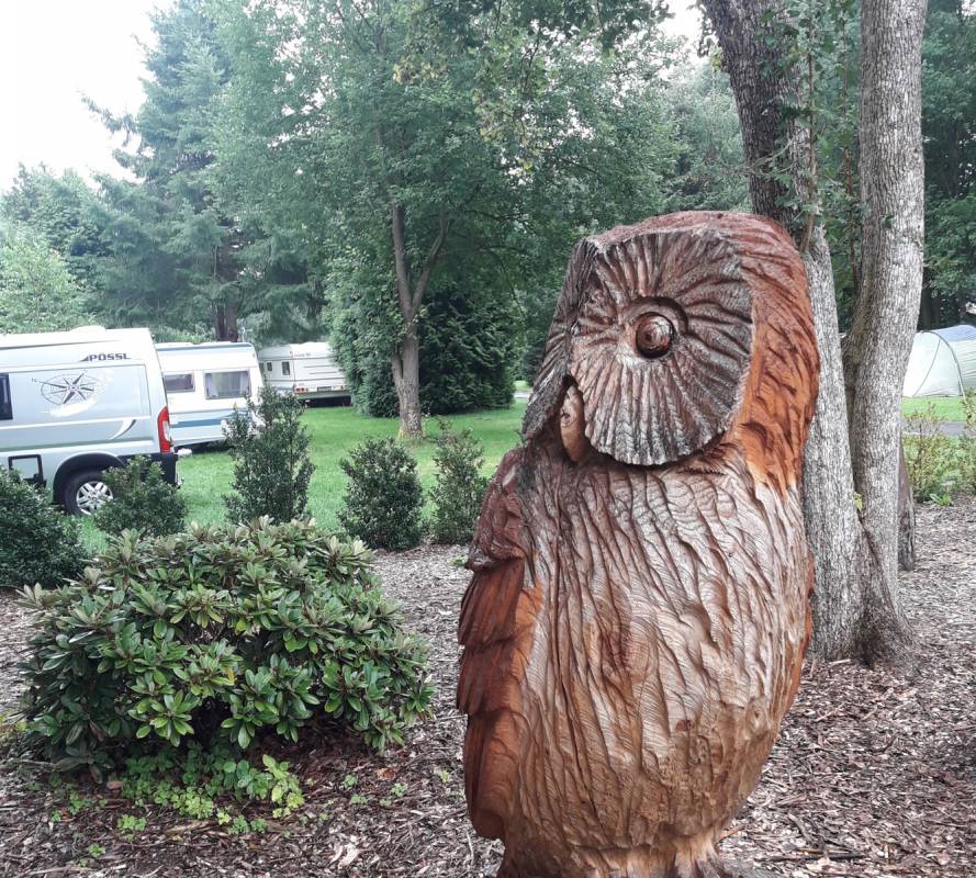 Campingplatz Opalsee — Photo 2