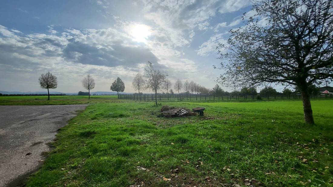 Ried Camperpark — Photo 2