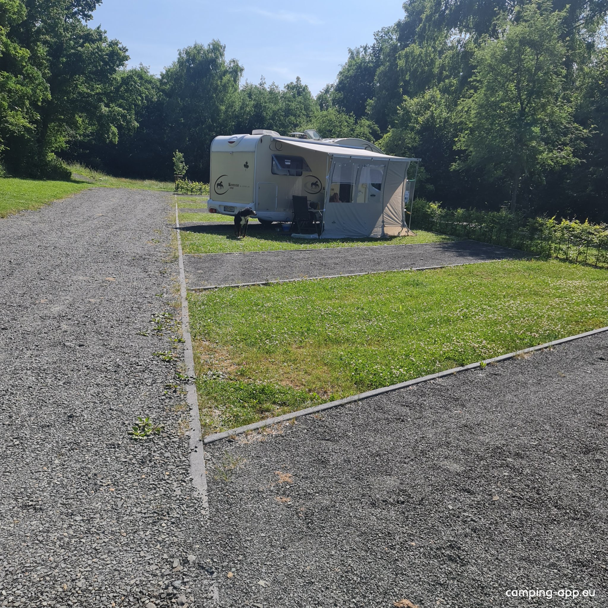 Gemünden Freibad — Photo 4