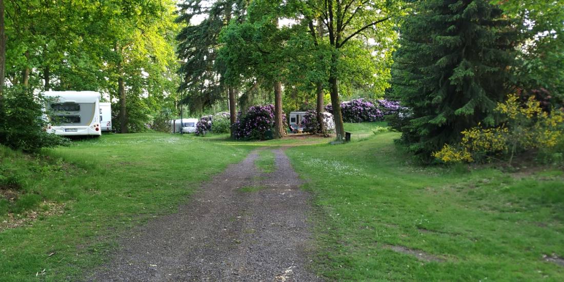 Campingpark Gut Moorbeck DCC — Photo 3