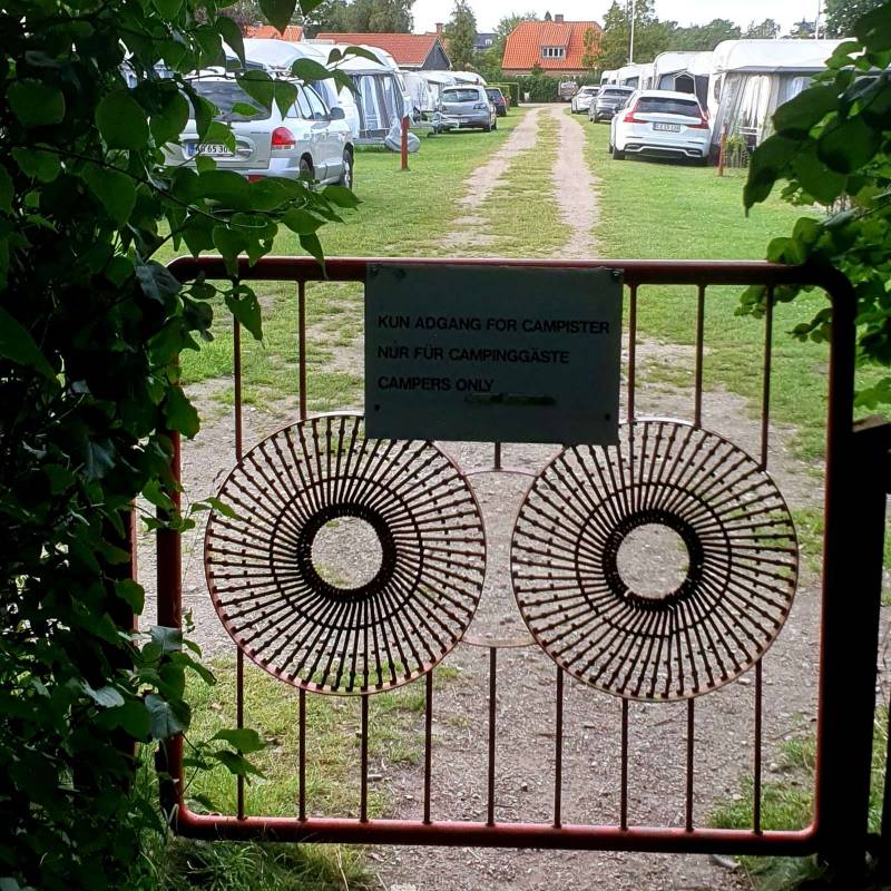 Bisserup Camping Sjælland — Photo 6