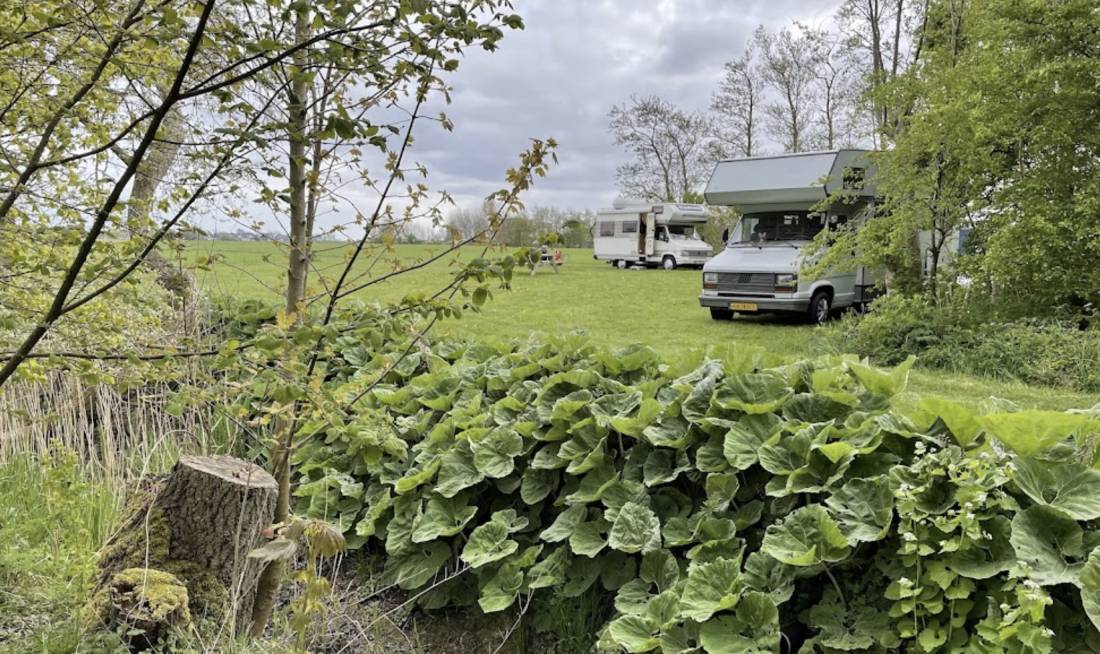 De Noordster Mini Camping