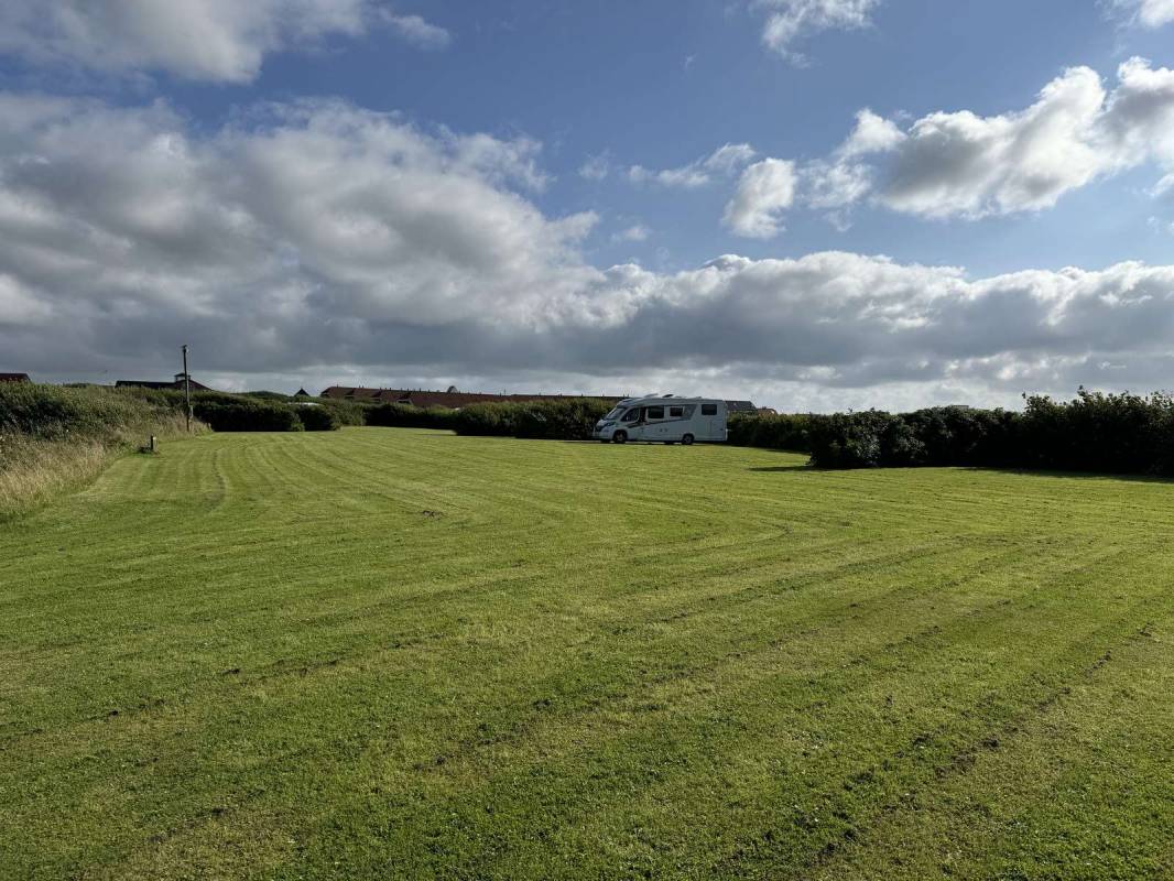 Bovbjerg Camping — Photo 4