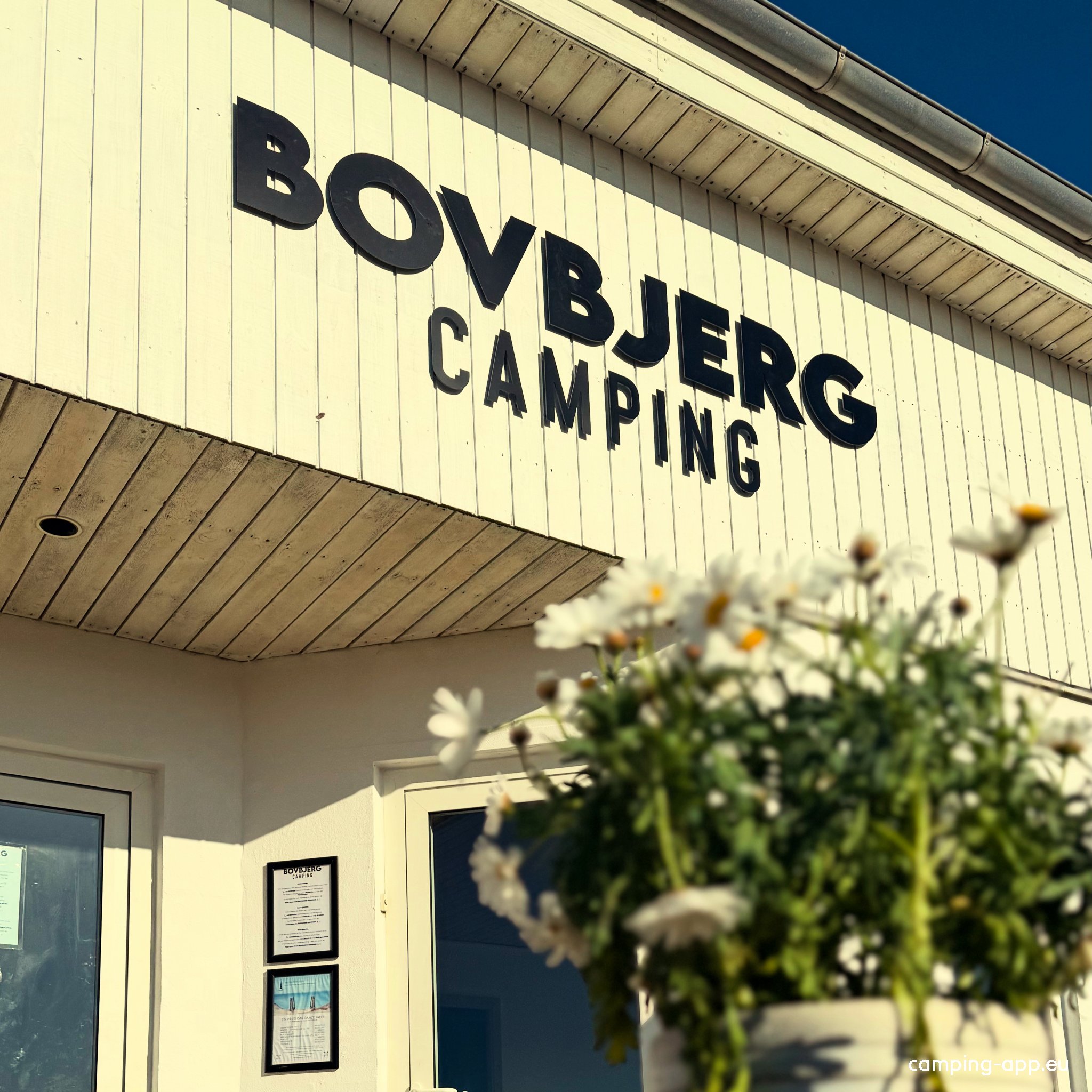 Bovbjerg Camping — Photo 5