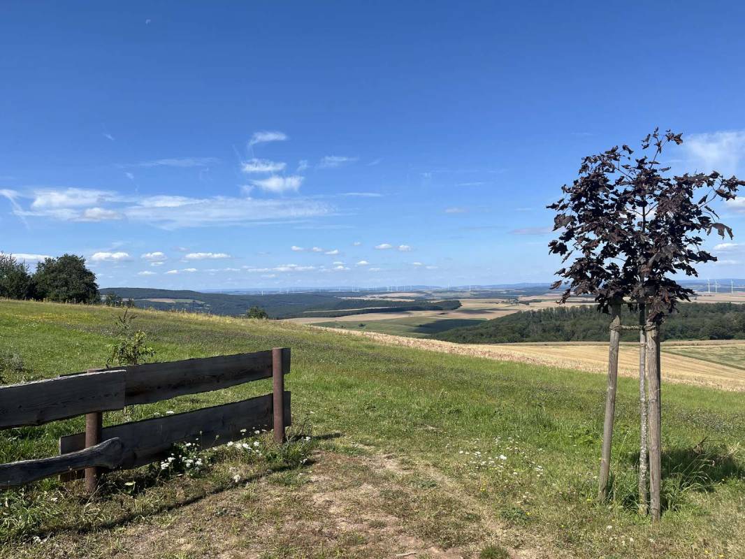 Wohnmobil Stellplatz Nordpfalzblick — Photo 4