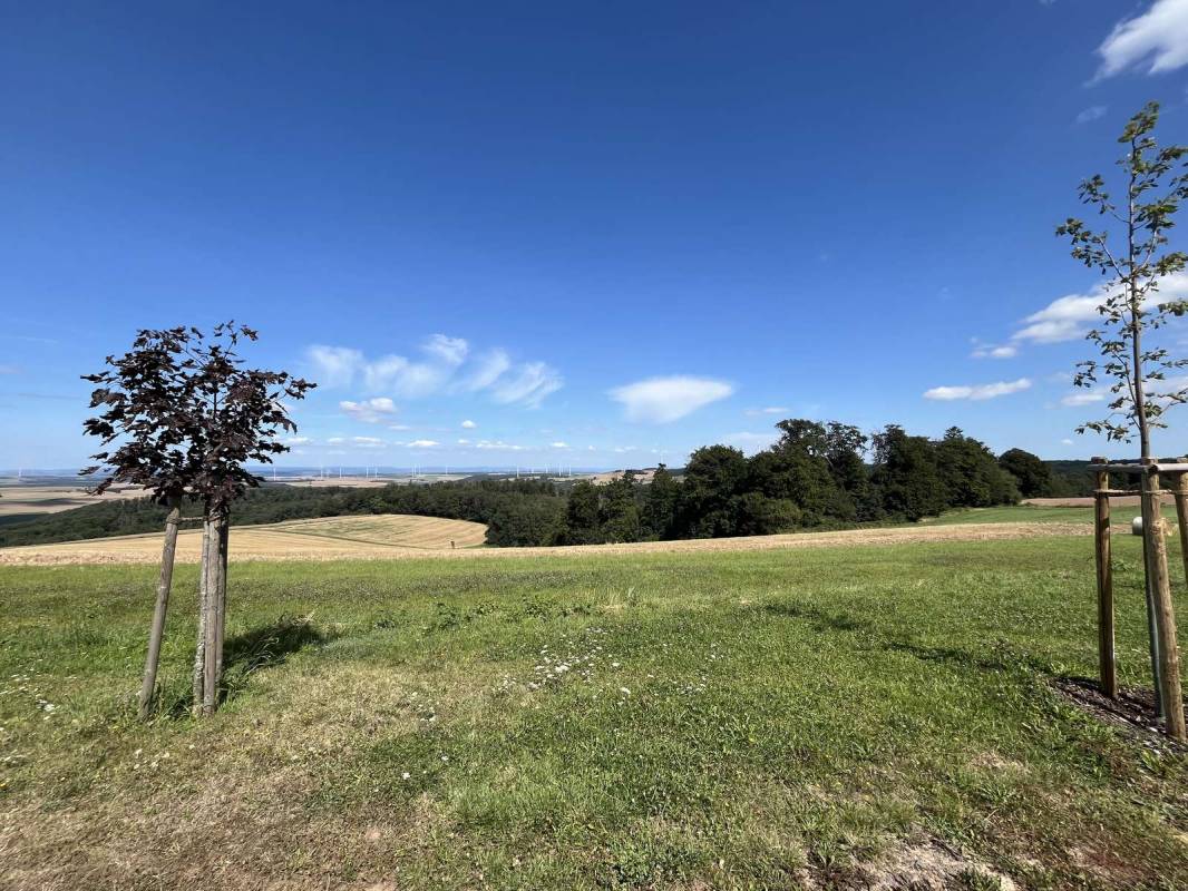 Wohnmobil Stellplatz Nordpfalzblick — Photo 5