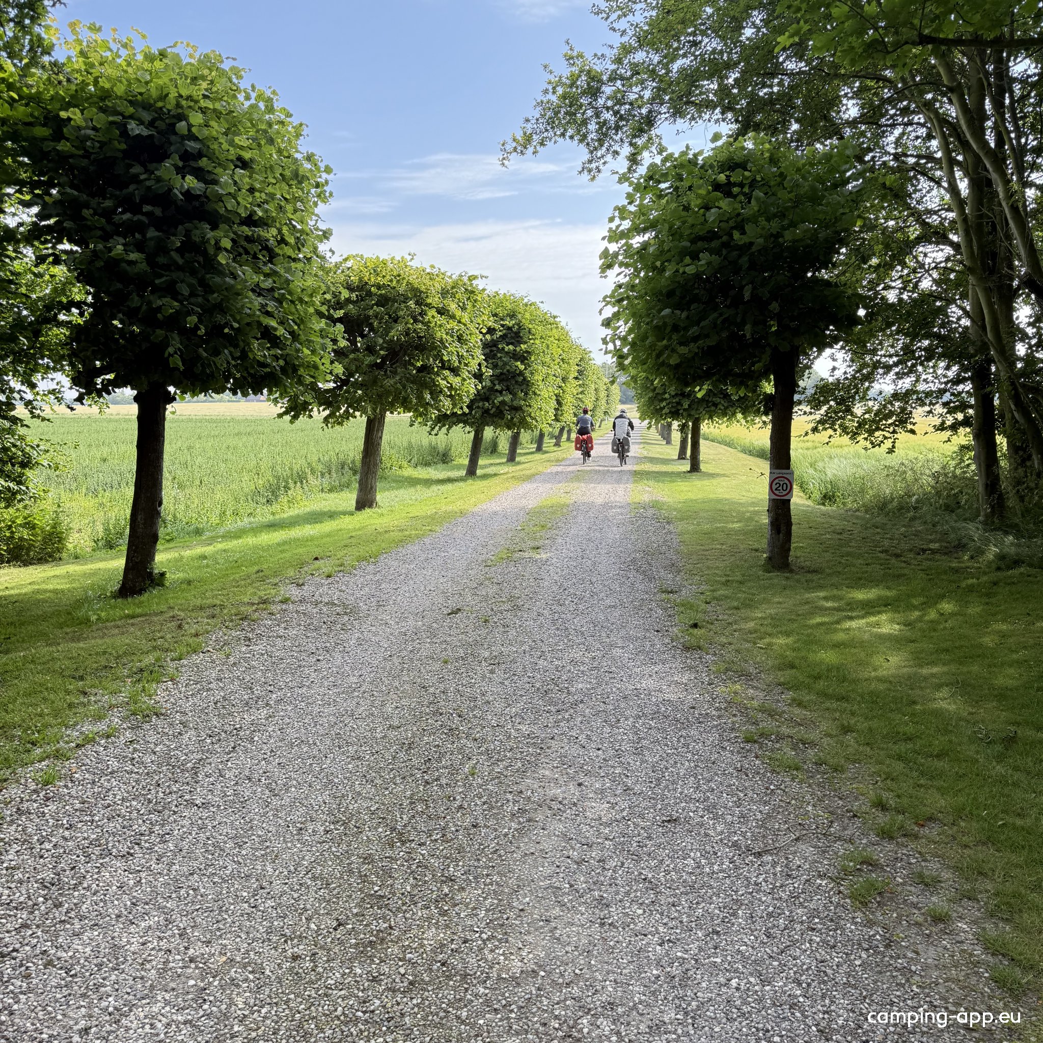 MejeriGaarden — Photo 4