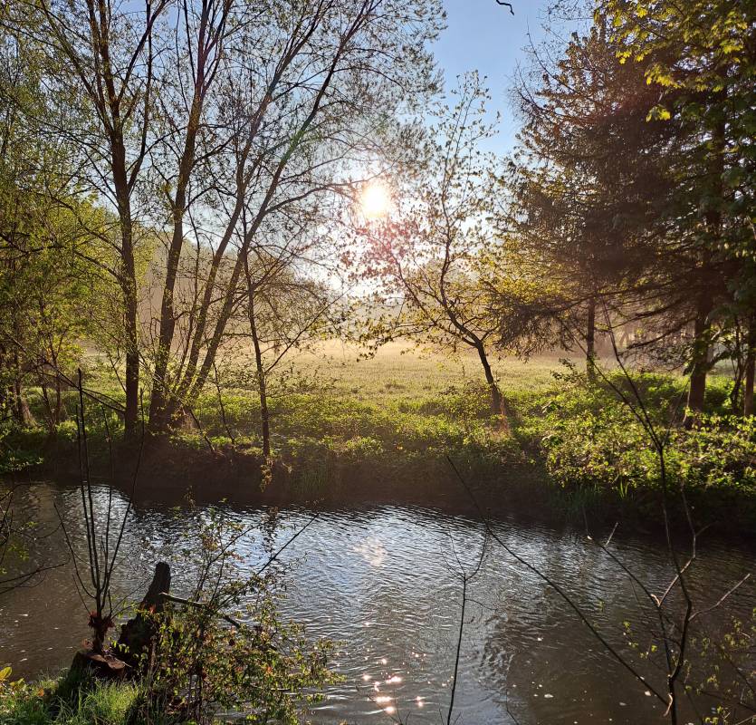 Stellplatz an der Jägerwiese — Photo 2